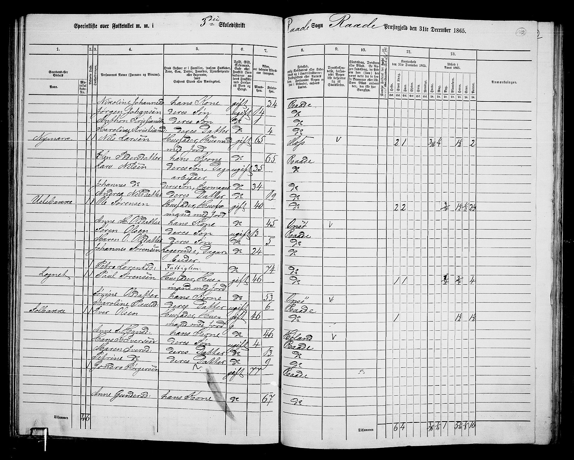 RA, 1865 census for Råde, 1865, p. 94