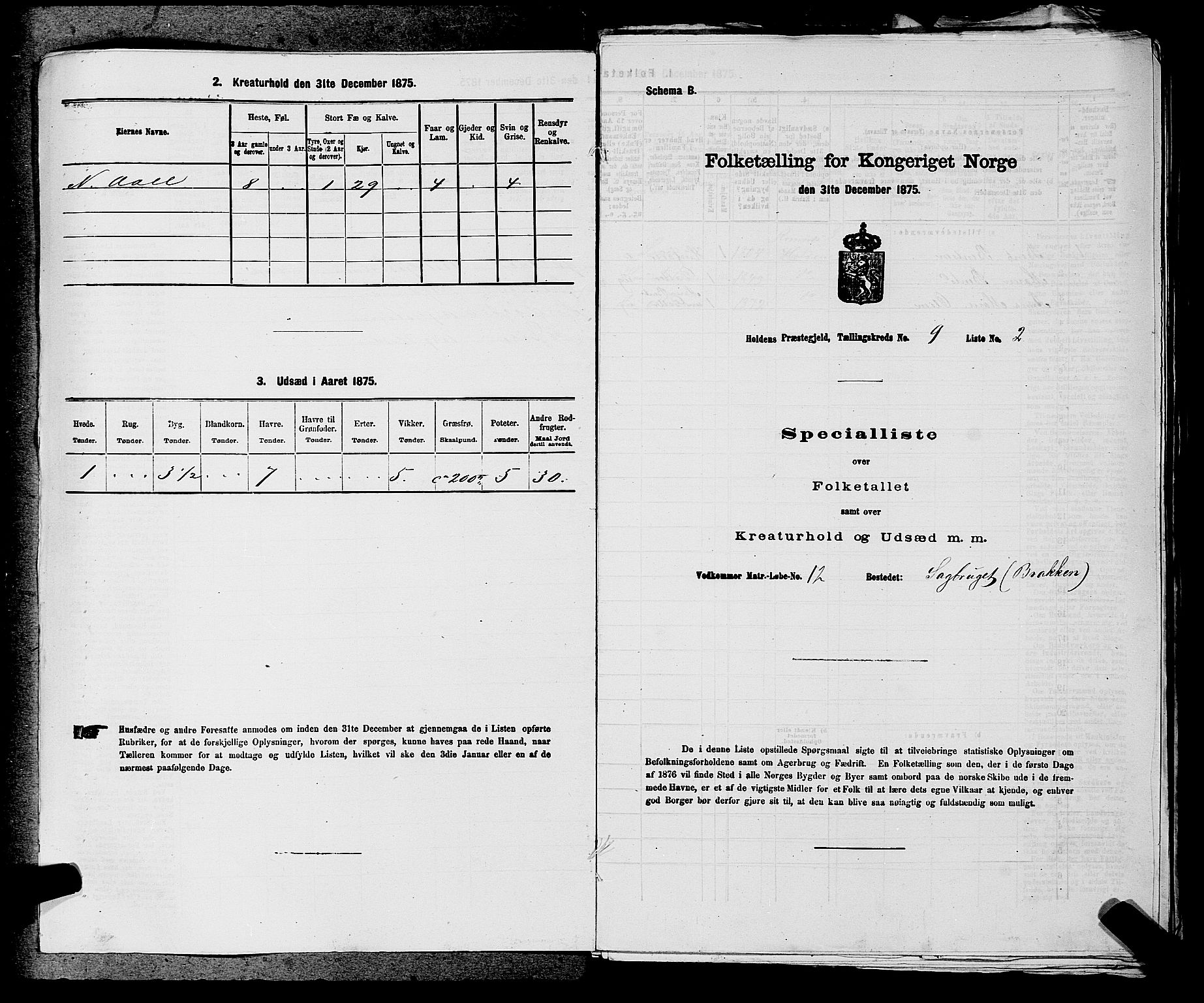 SAKO, 1875 census for 0819P Holla, 1875, p. 1080