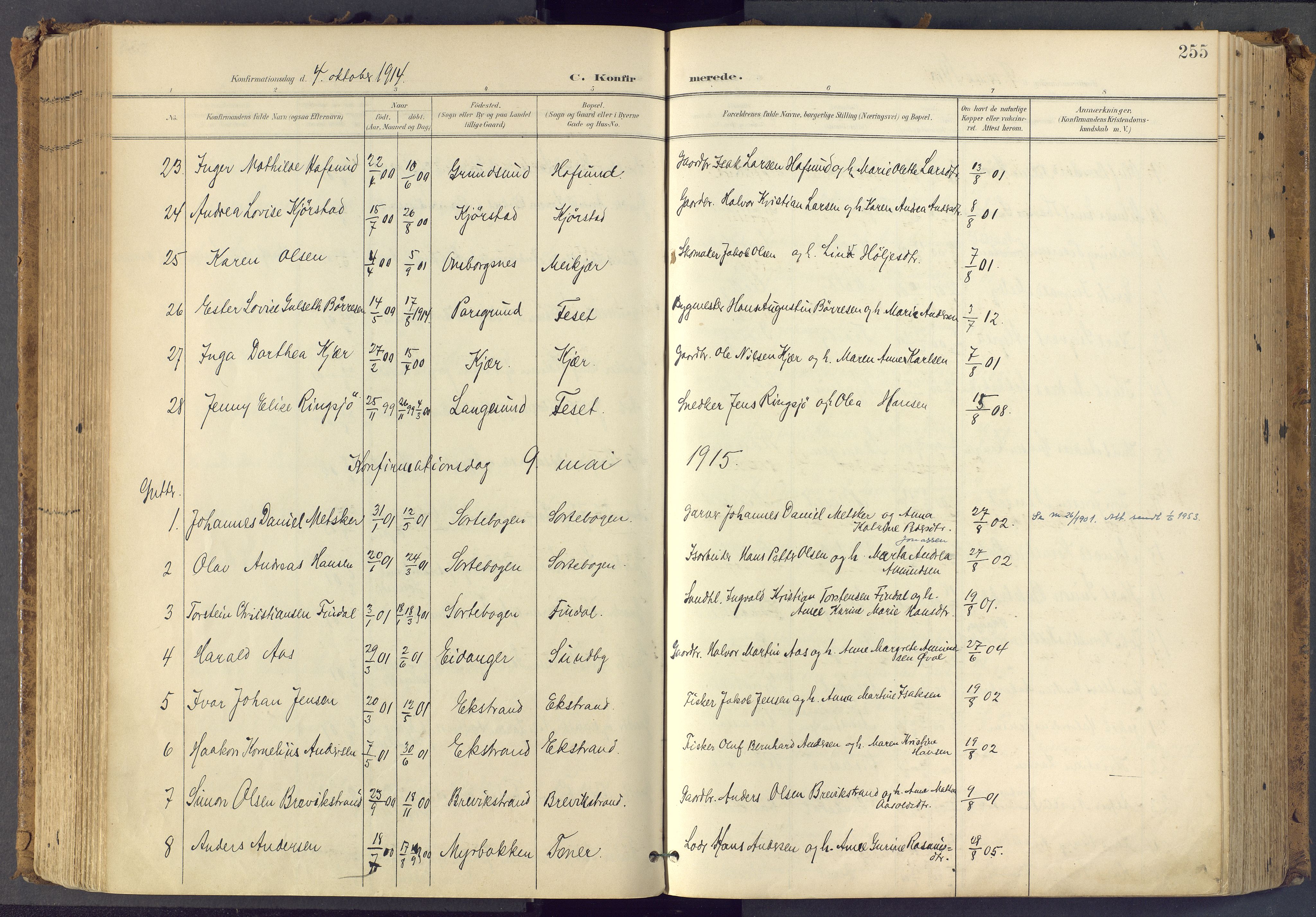 Bamble kirkebøker, SAKO/A-253/F/Fa/L0009: Parish register (official) no. I 9, 1901-1917, p. 255
