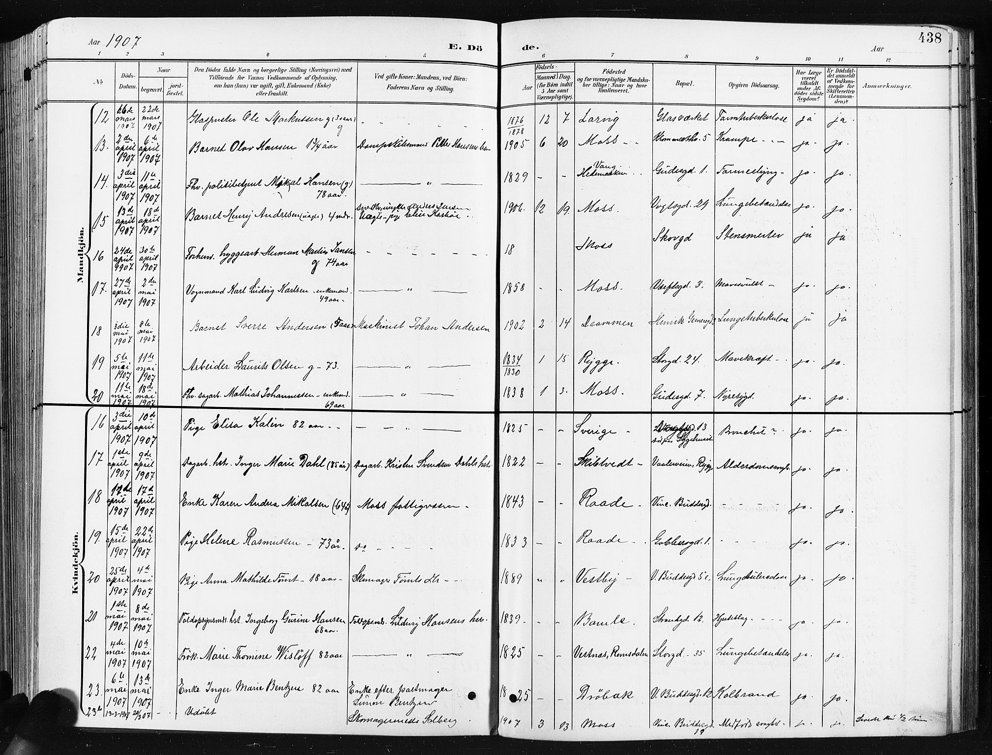 Moss prestekontor Kirkebøker, AV/SAO-A-2003/G/Ga/L0007: Parish register (copy) no. I 7, 1901-1912, p. 438