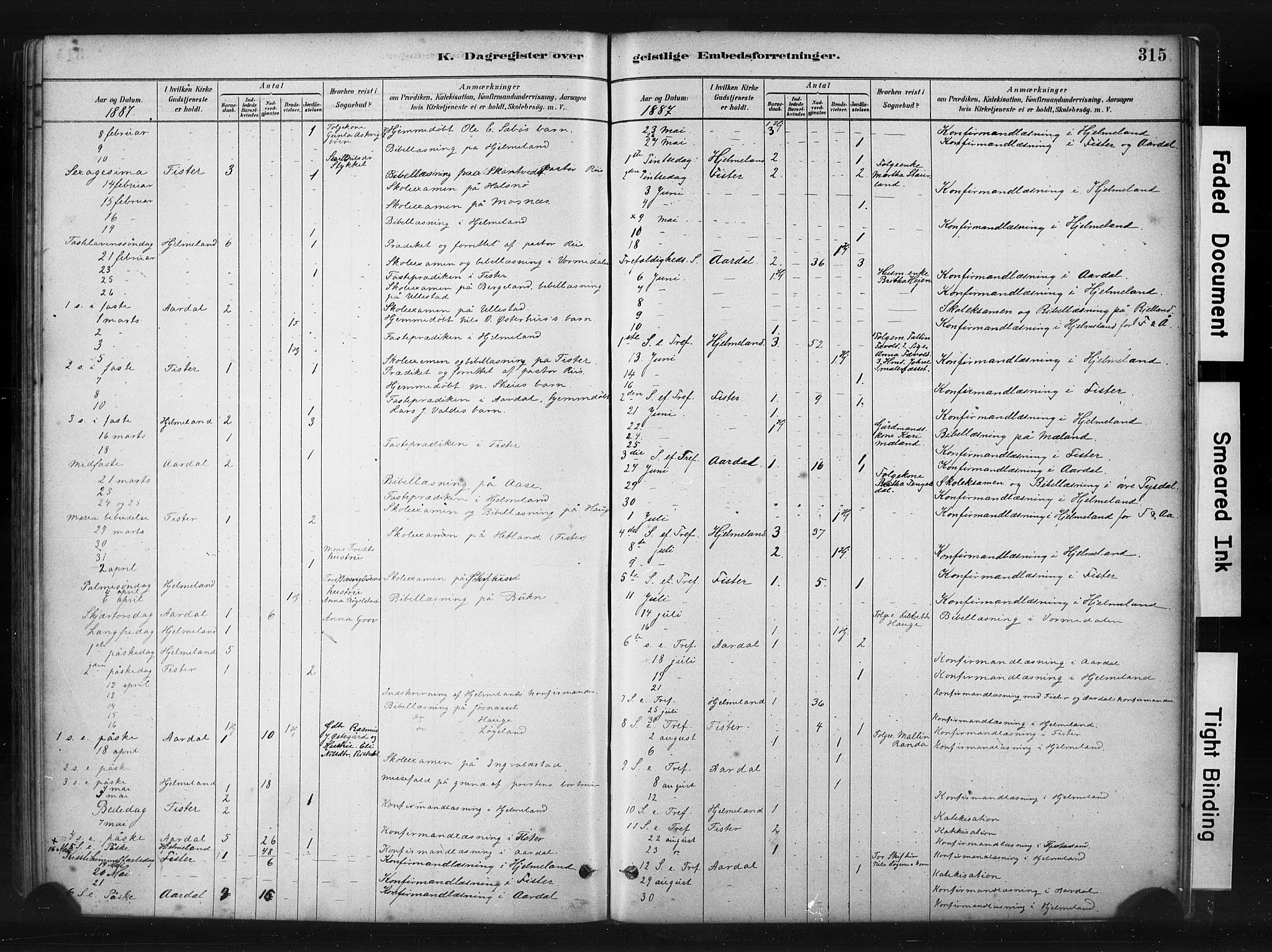 Hjelmeland sokneprestkontor, AV/SAST-A-101843/01/IV/L0014: Parish register (official) no. A 14, 1879-1900, p. 315