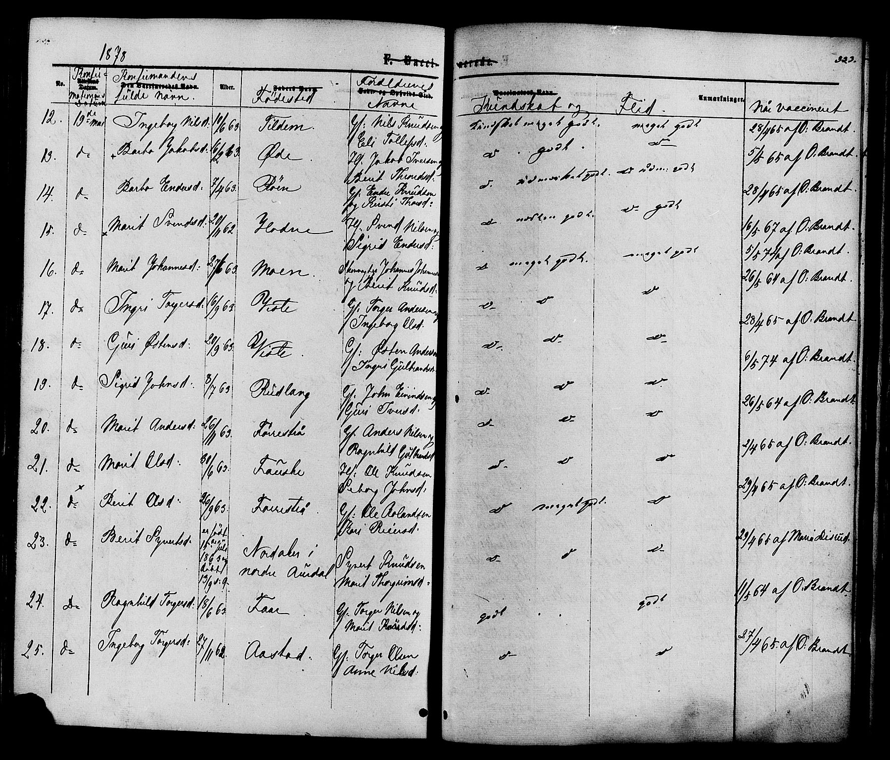 Vestre Slidre prestekontor, SAH/PREST-136/H/Ha/Haa/L0003: Parish register (official) no. 3, 1865-1880, p. 333
