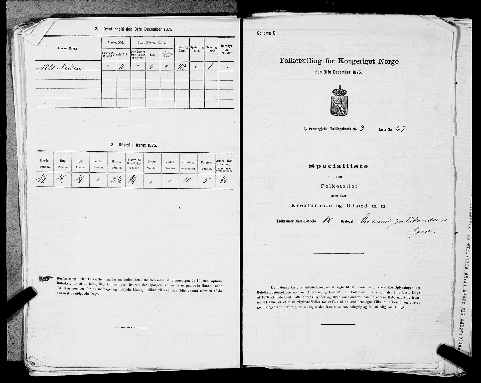 SAST, 1875 census for 1121P Lye, 1875, p. 467