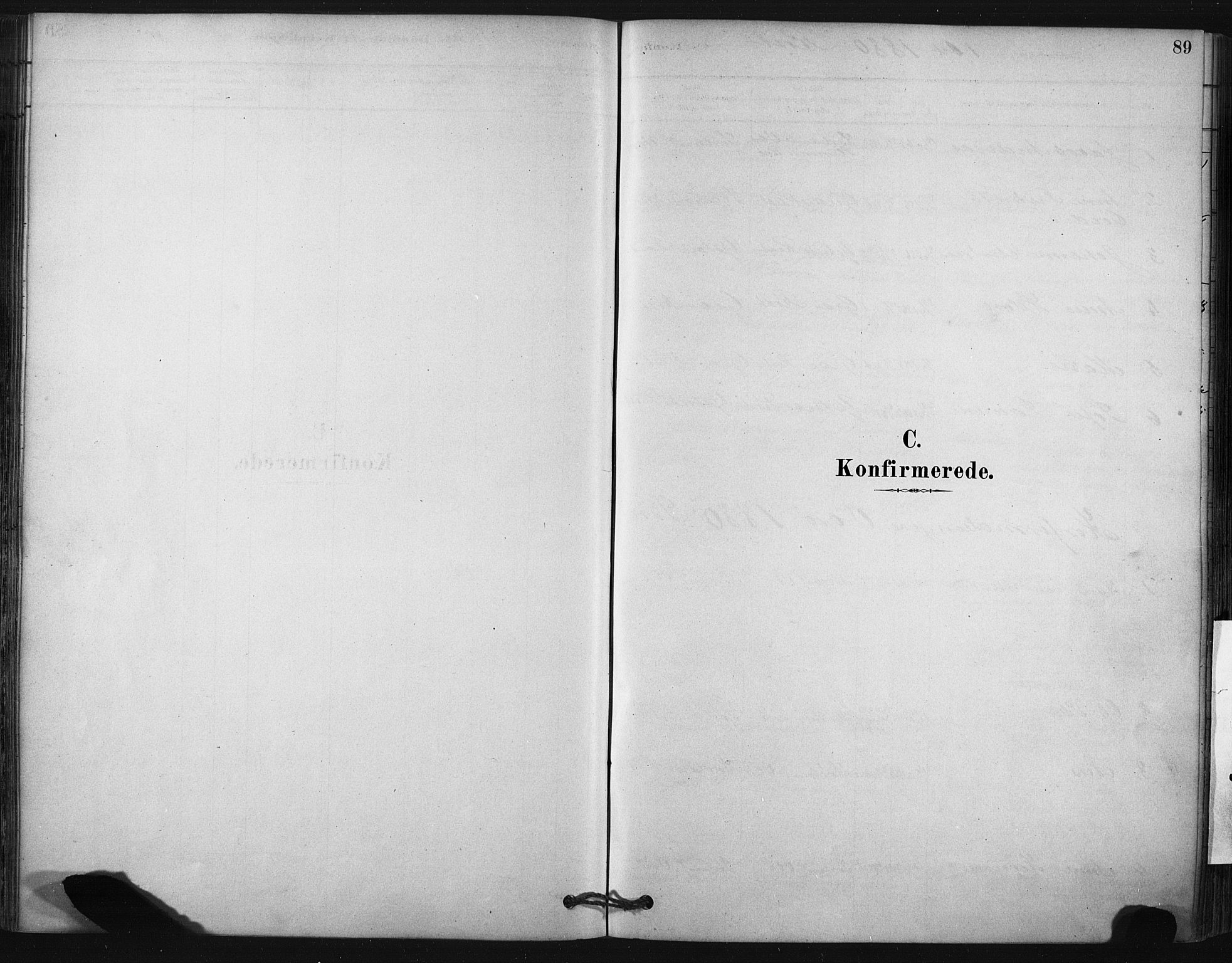 Ministerialprotokoller, klokkerbøker og fødselsregistre - Nordland, SAT/A-1459/807/L0122: Parish register (official) no. 807A05, 1880-1902, p. 89