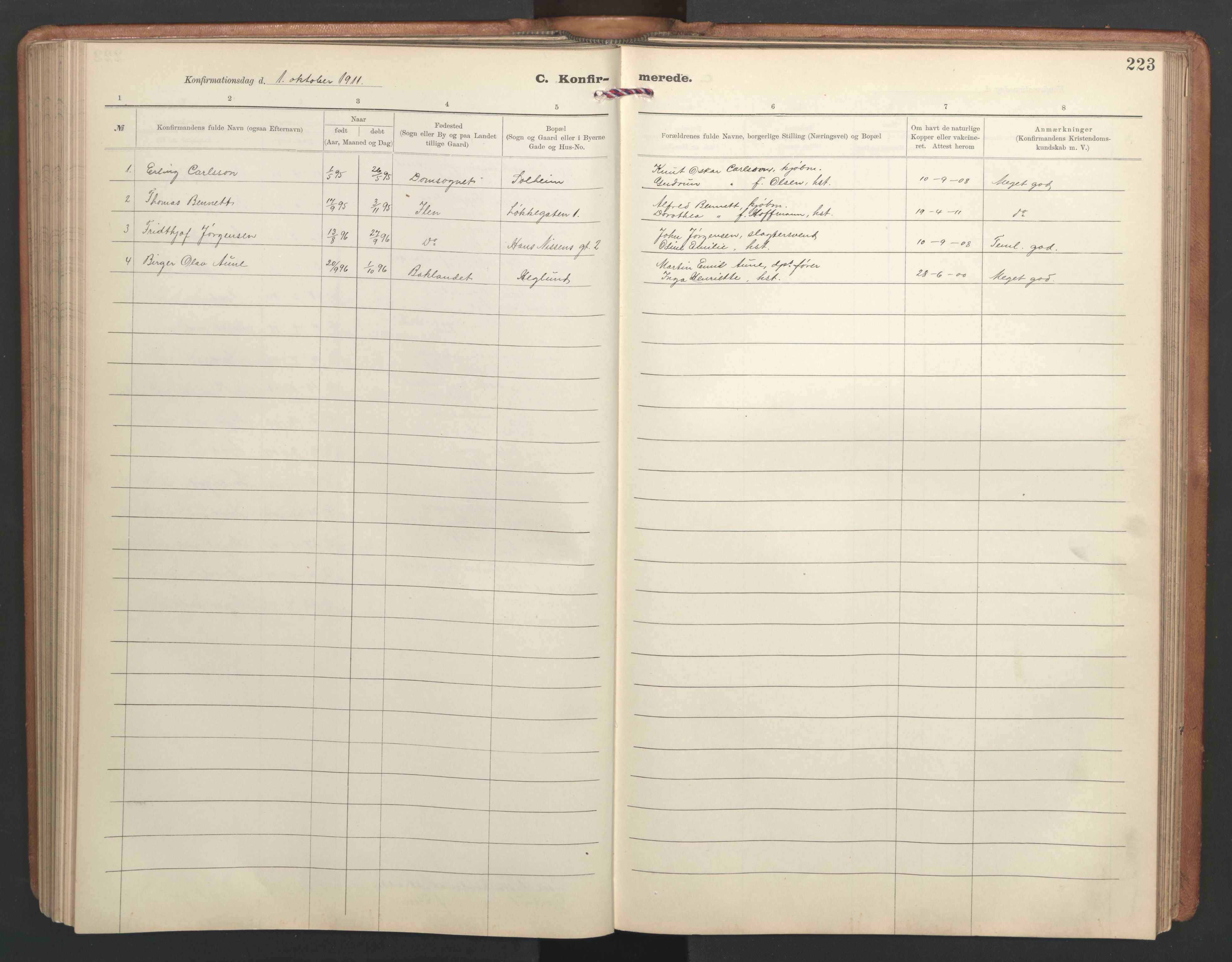 Ministerialprotokoller, klokkerbøker og fødselsregistre - Sør-Trøndelag, SAT/A-1456/603/L0173: Parish register (copy) no. 603C01, 1907-1962, p. 223