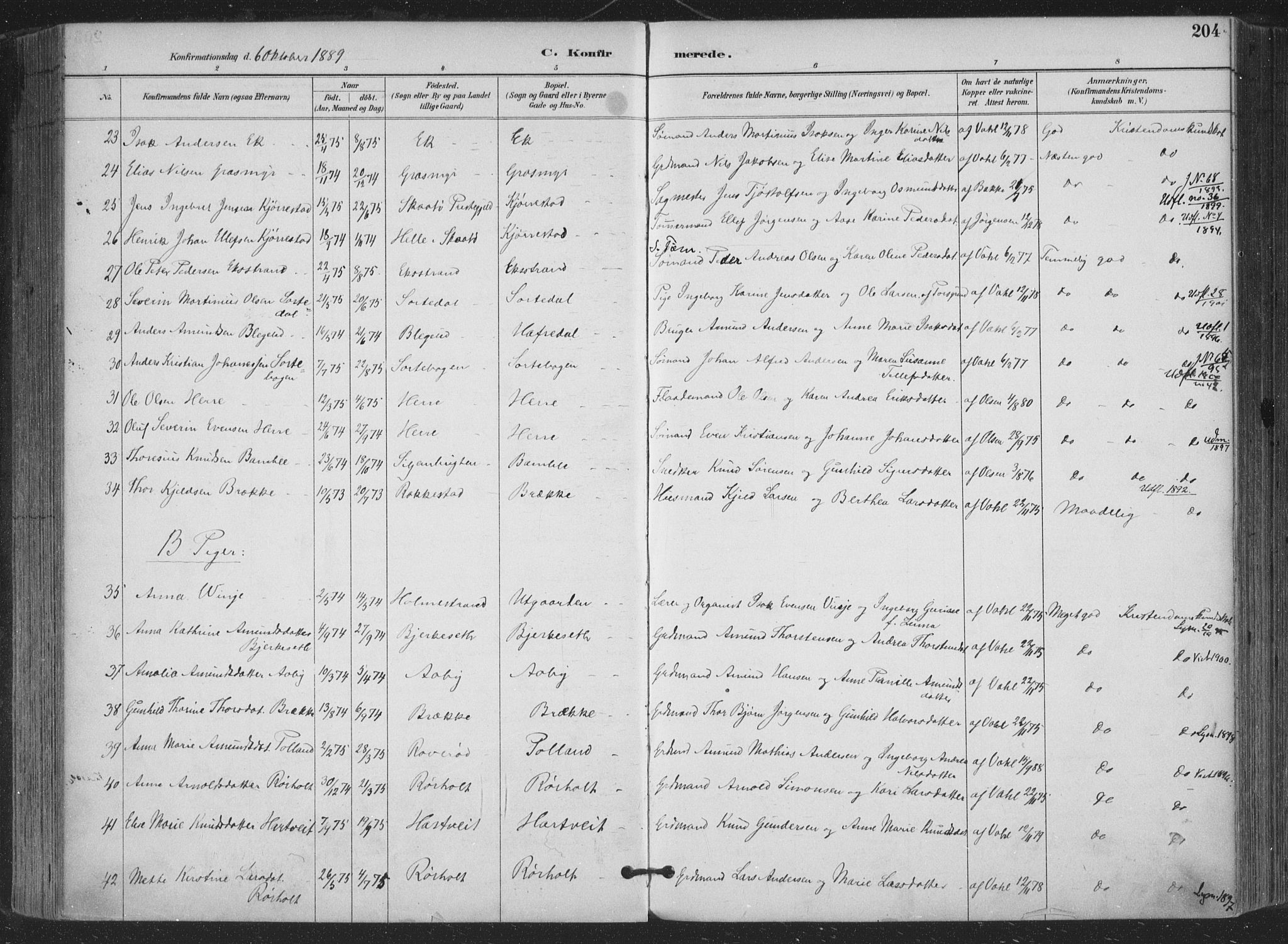 Bamble kirkebøker, AV/SAKO-A-253/F/Fa/L0008: Parish register (official) no. I 8, 1888-1900, p. 204