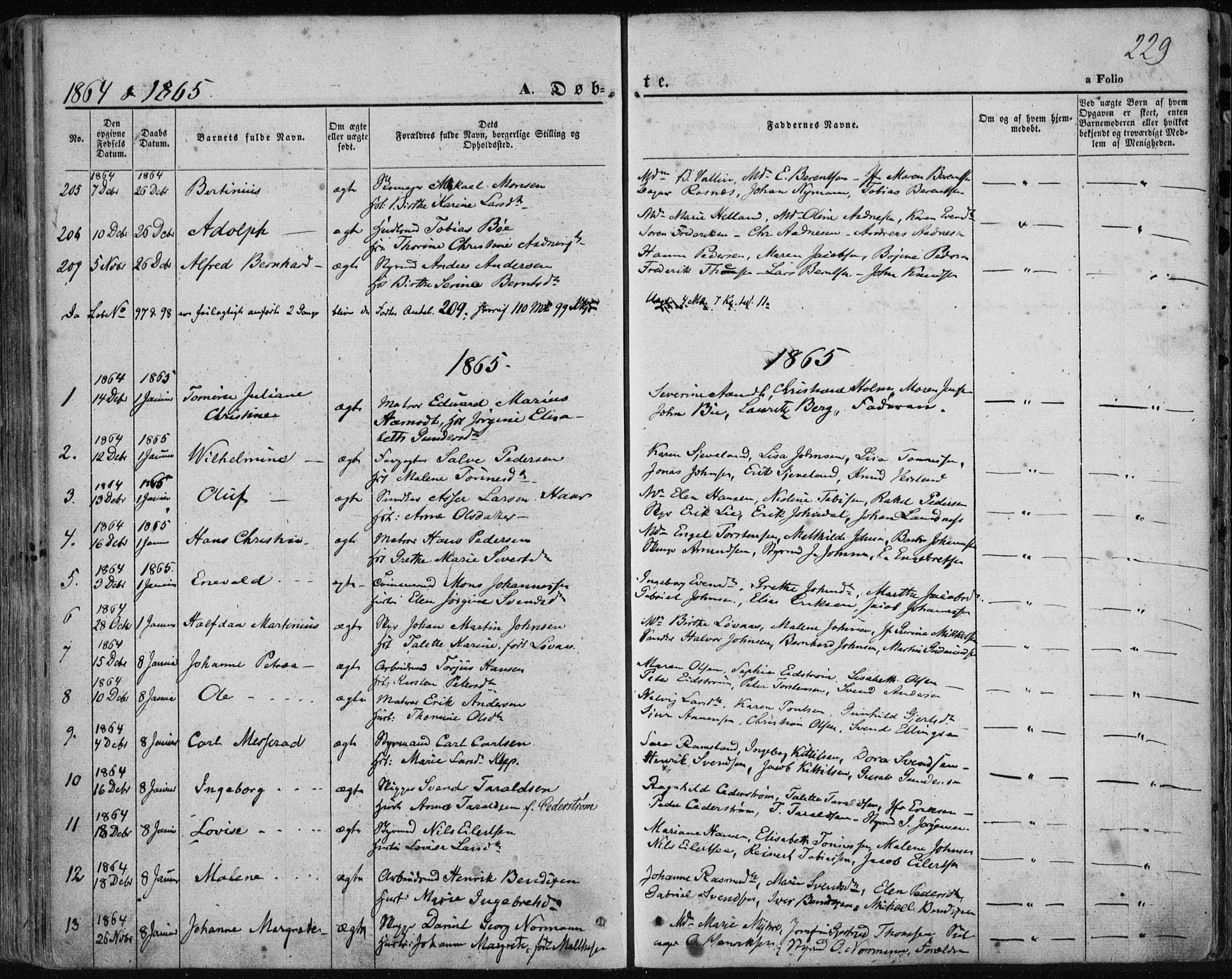 Domkirken sokneprestkontor, SAST/A-101812/001/30/30BA/L0017: Parish register (official) no. A 16, 1855-1867, p. 229