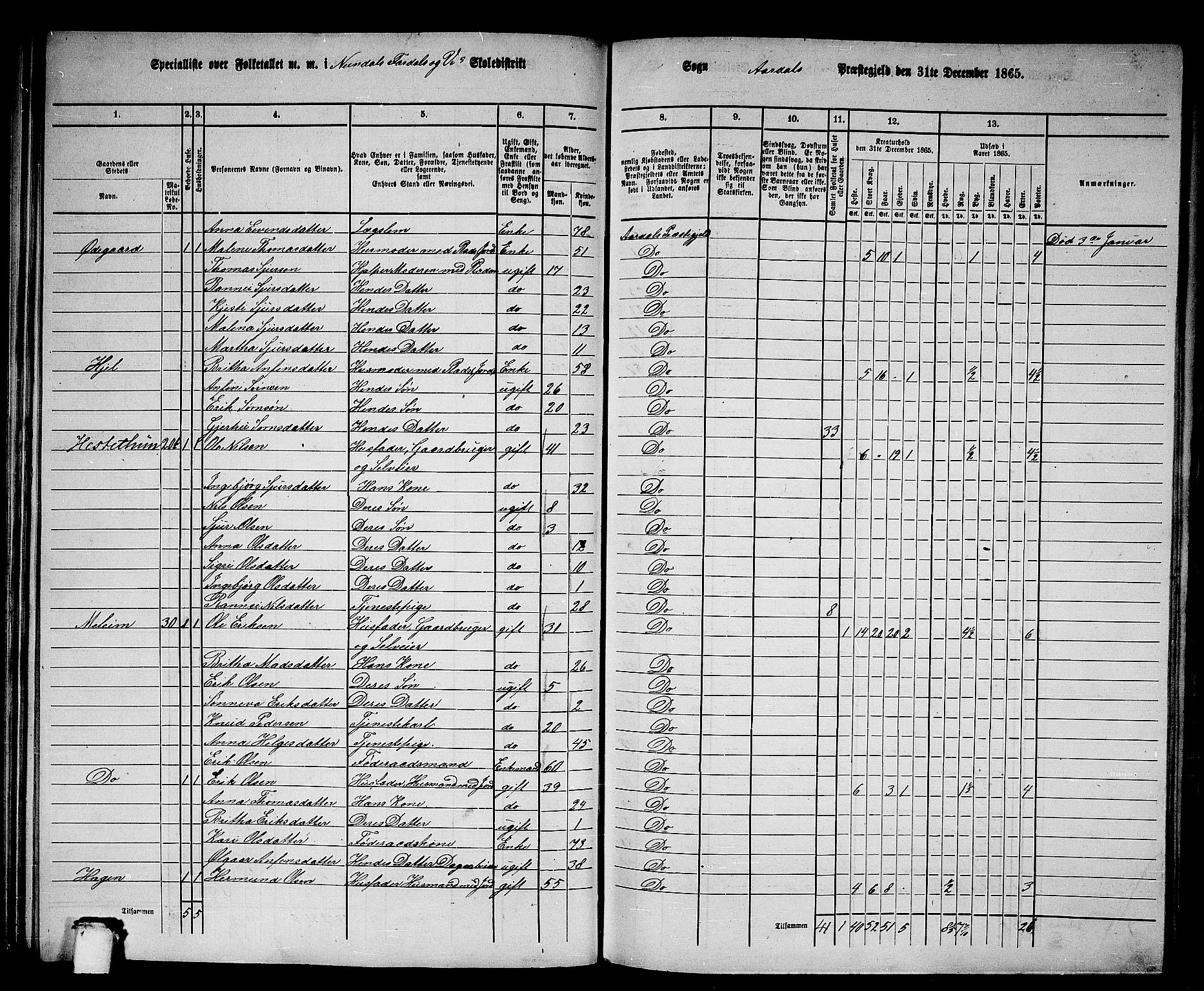 RA, 1865 census for Årdal, 1865, p. 61