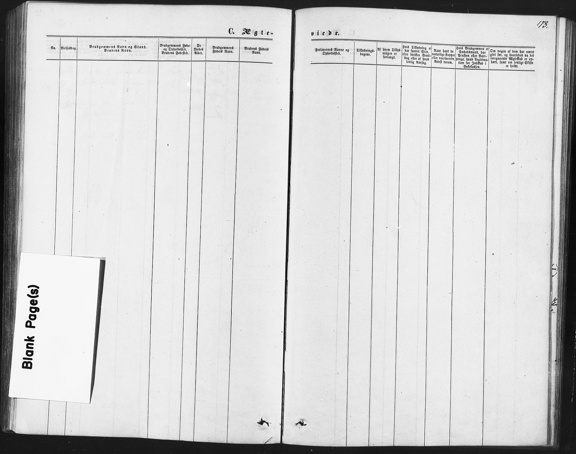 Kråkstad prestekontor Kirkebøker, SAO/A-10125a/F/Fa/L0008: Parish register (official) no. I 8, 1870-1879, p. 173