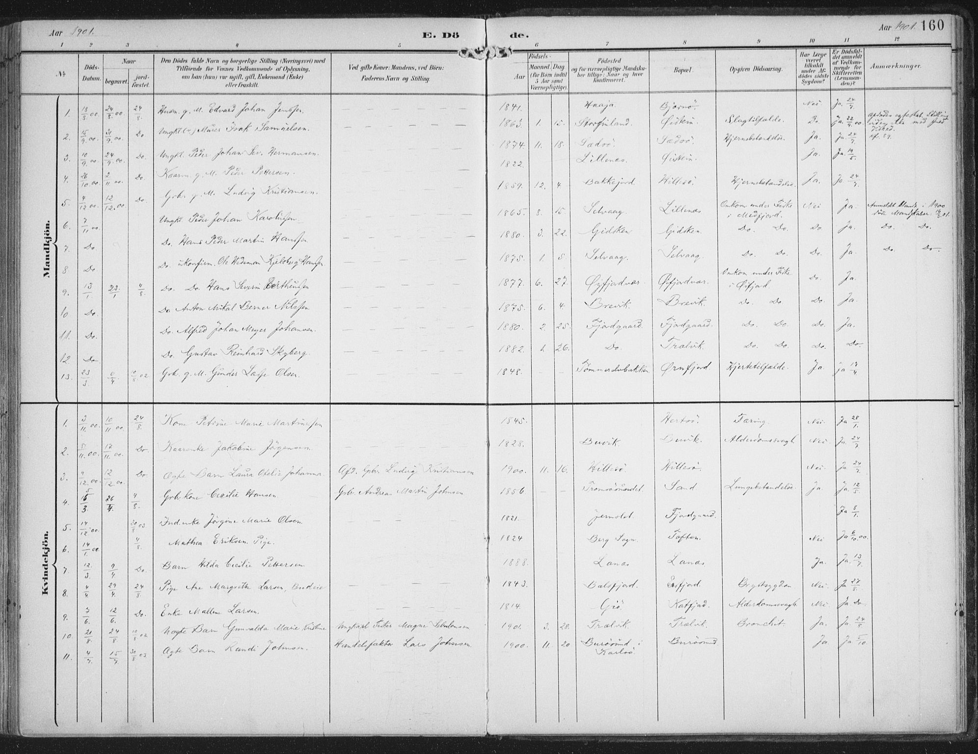 Lenvik sokneprestembete, AV/SATØ-S-1310/H/Ha/Haa/L0015kirke: Parish register (official) no. 15, 1896-1915, p. 160