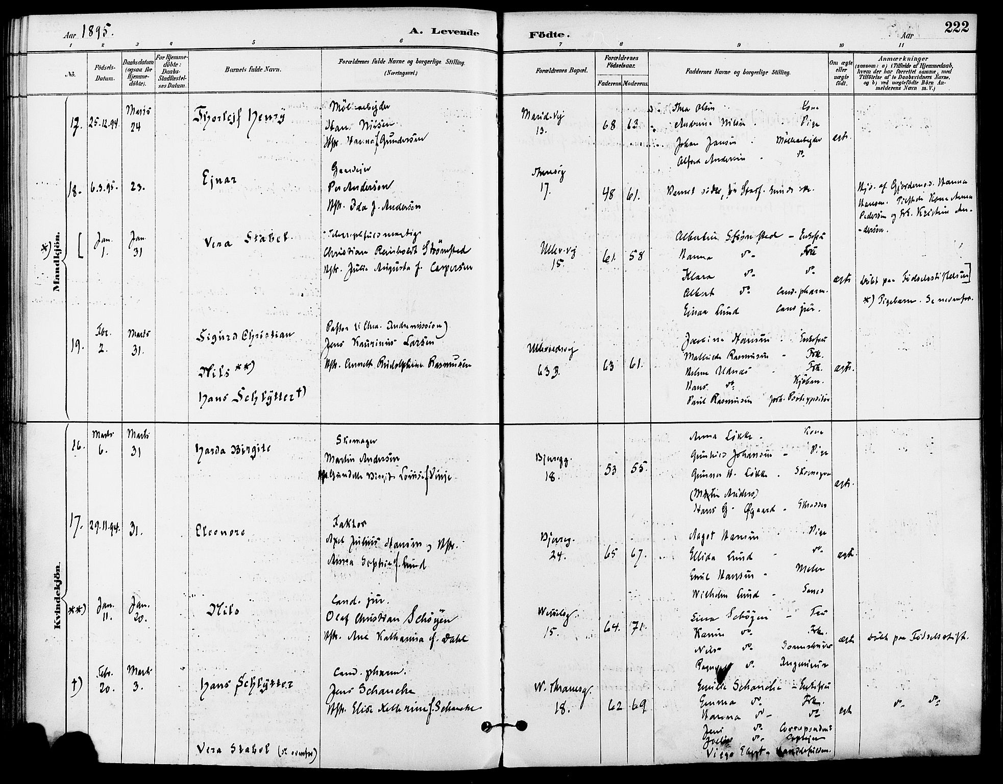 Gamle Aker prestekontor Kirkebøker, AV/SAO-A-10617a/F/L0008: Parish register (official) no. 8, 1887-1896, p. 222