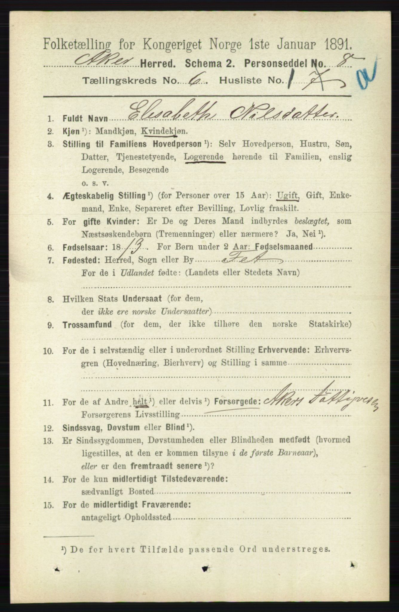 RA, 1891 census for 0218 Aker, 1891, p. 5519