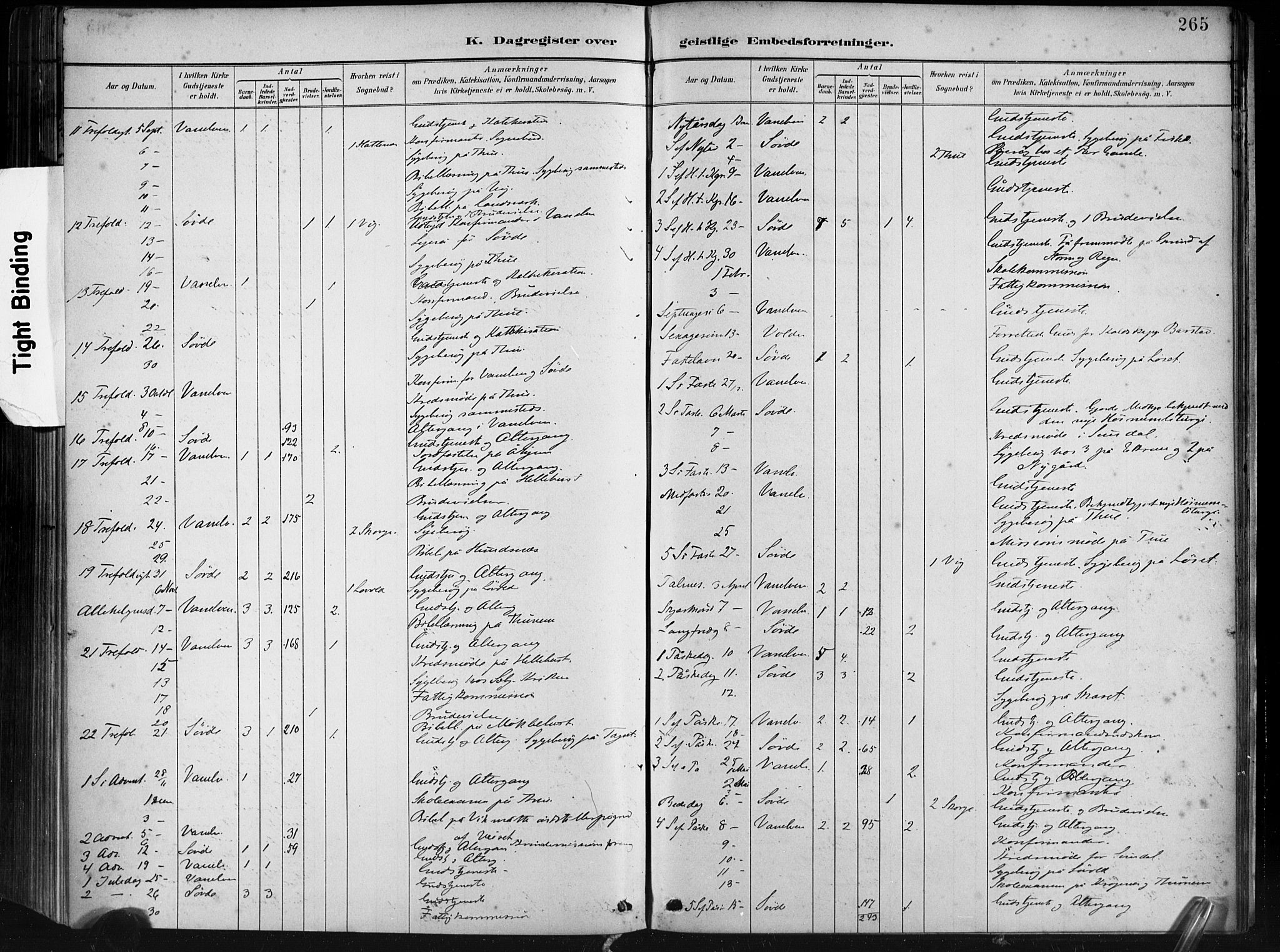 Ministerialprotokoller, klokkerbøker og fødselsregistre - Møre og Romsdal, AV/SAT-A-1454/501/L0008: Parish register (official) no. 501A08, 1885-1901, p. 265