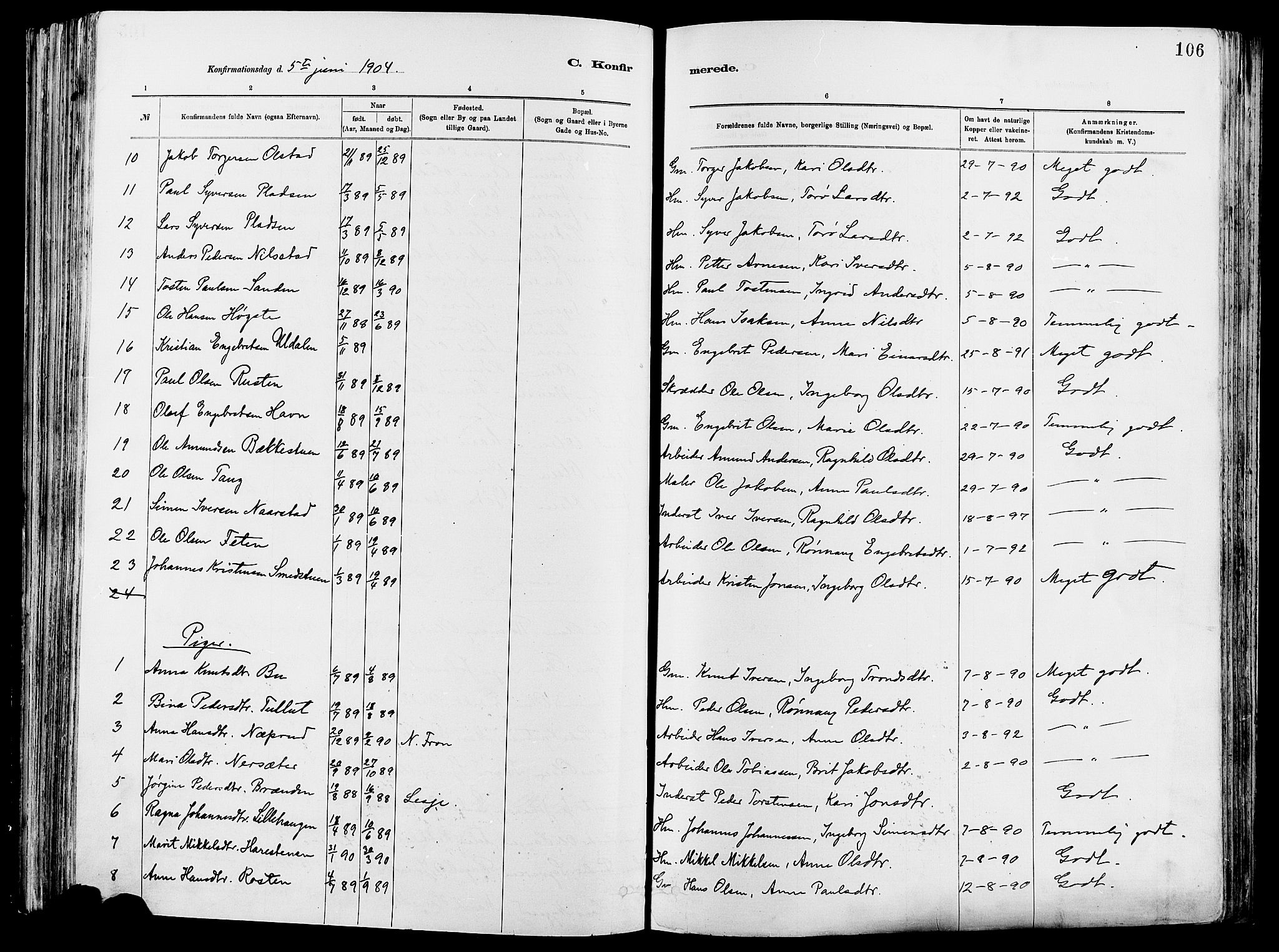 Vågå prestekontor, SAH/PREST-076/H/Ha/Haa/L0008: Parish register (official) no. 8, 1886-1904, p. 106
