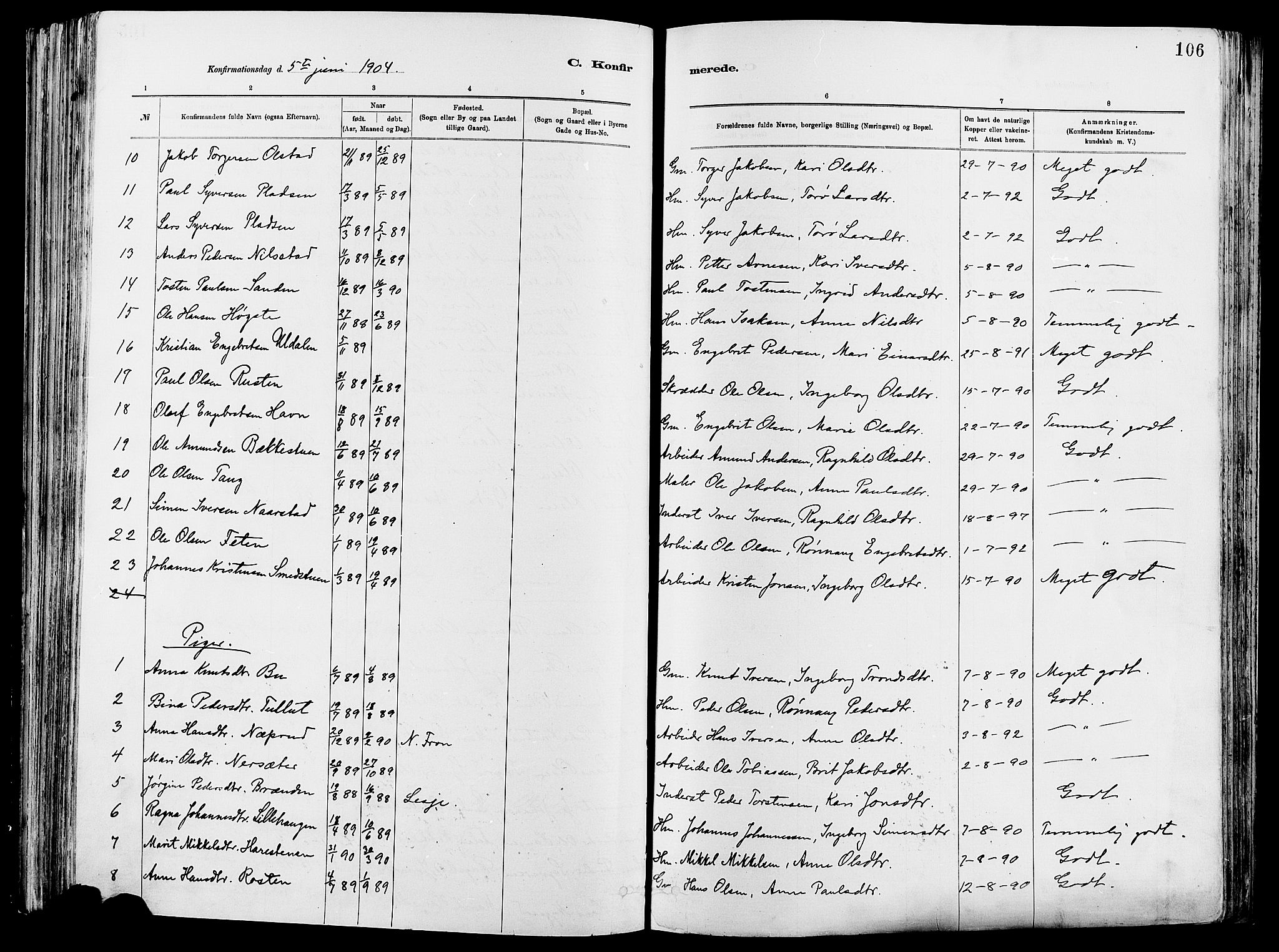 Vågå prestekontor, AV/SAH-PREST-076/H/Ha/Haa/L0008: Parish register (official) no. 8, 1886-1904, p. 106