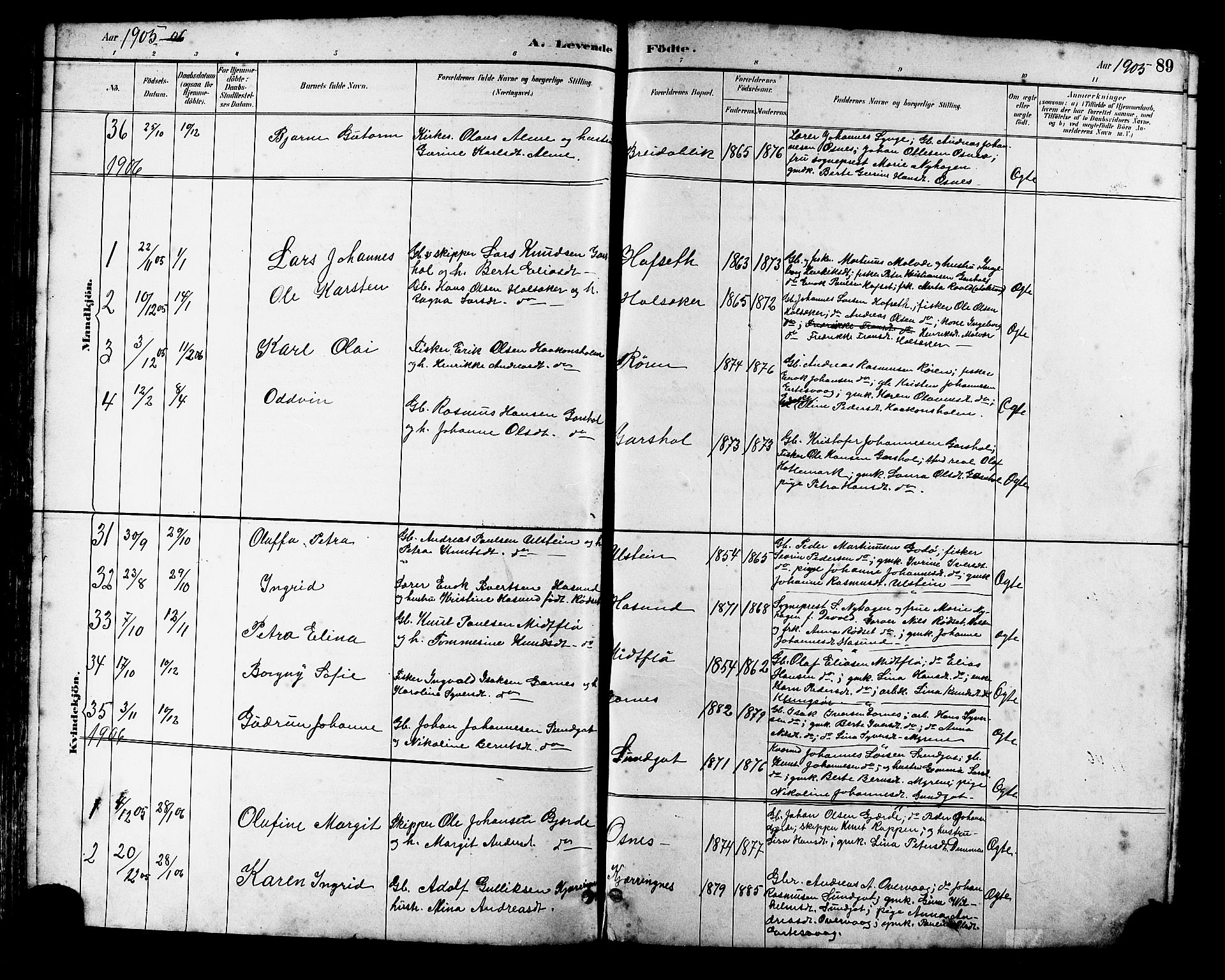 Ministerialprotokoller, klokkerbøker og fødselsregistre - Møre og Romsdal, AV/SAT-A-1454/509/L0112: Parish register (copy) no. 509C02, 1883-1922, p. 89