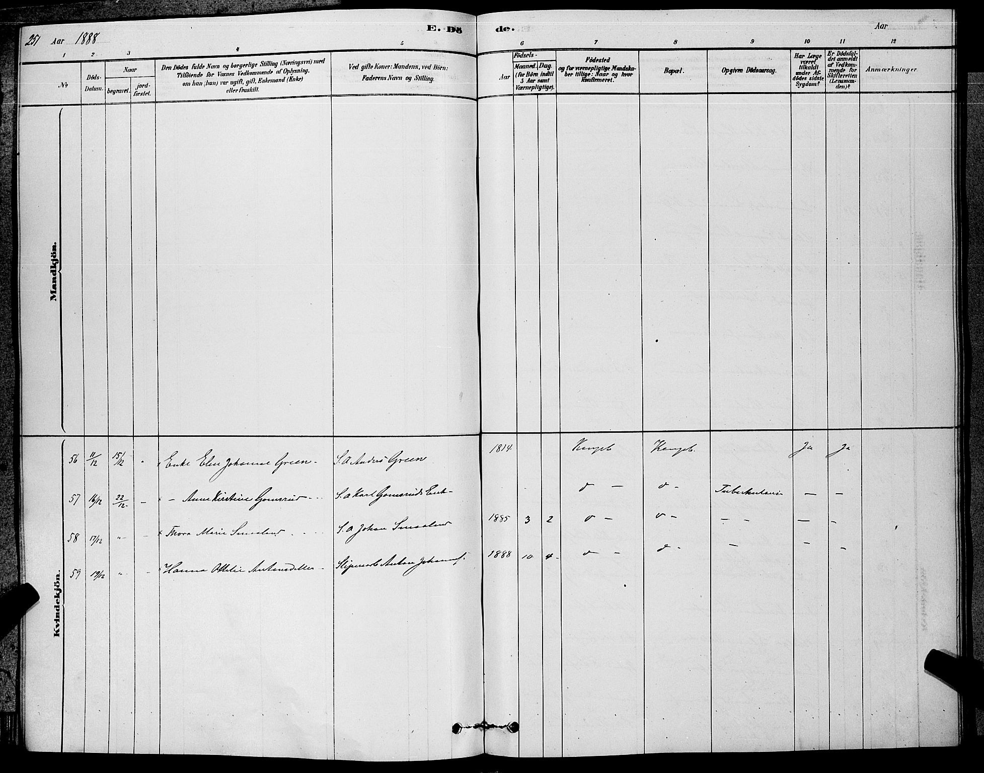 Kongsberg kirkebøker, SAKO/A-22/G/Ga/L0005: Parish register (copy) no. 5, 1878-1889, p. 251