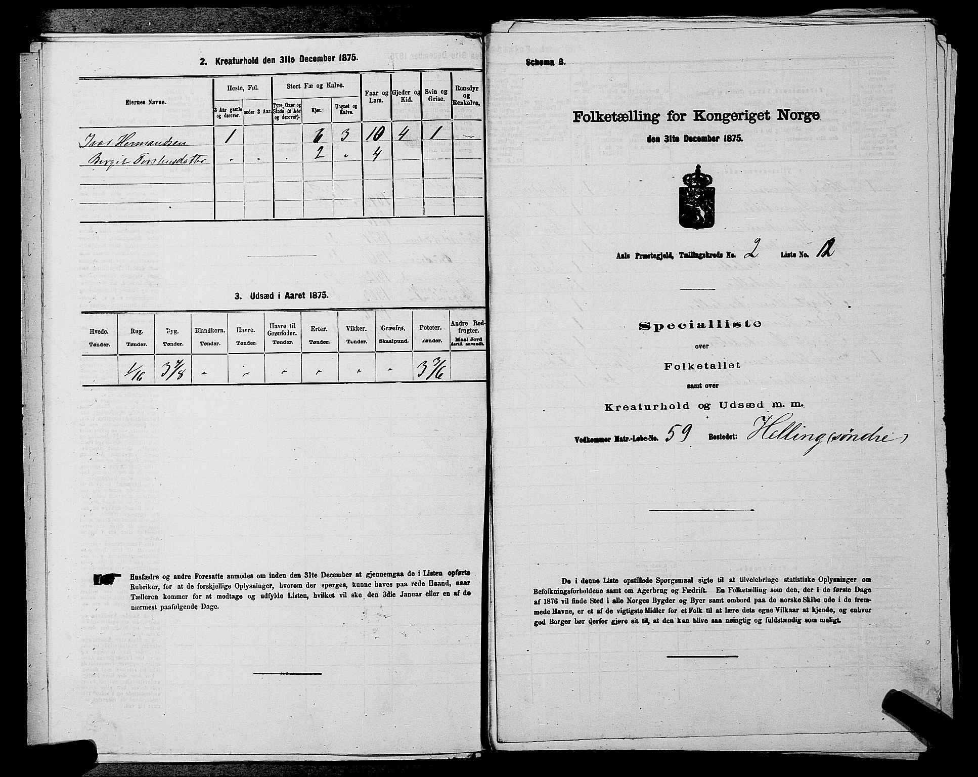 SAKO, 1875 census for 0619P Ål, 1875, p. 232