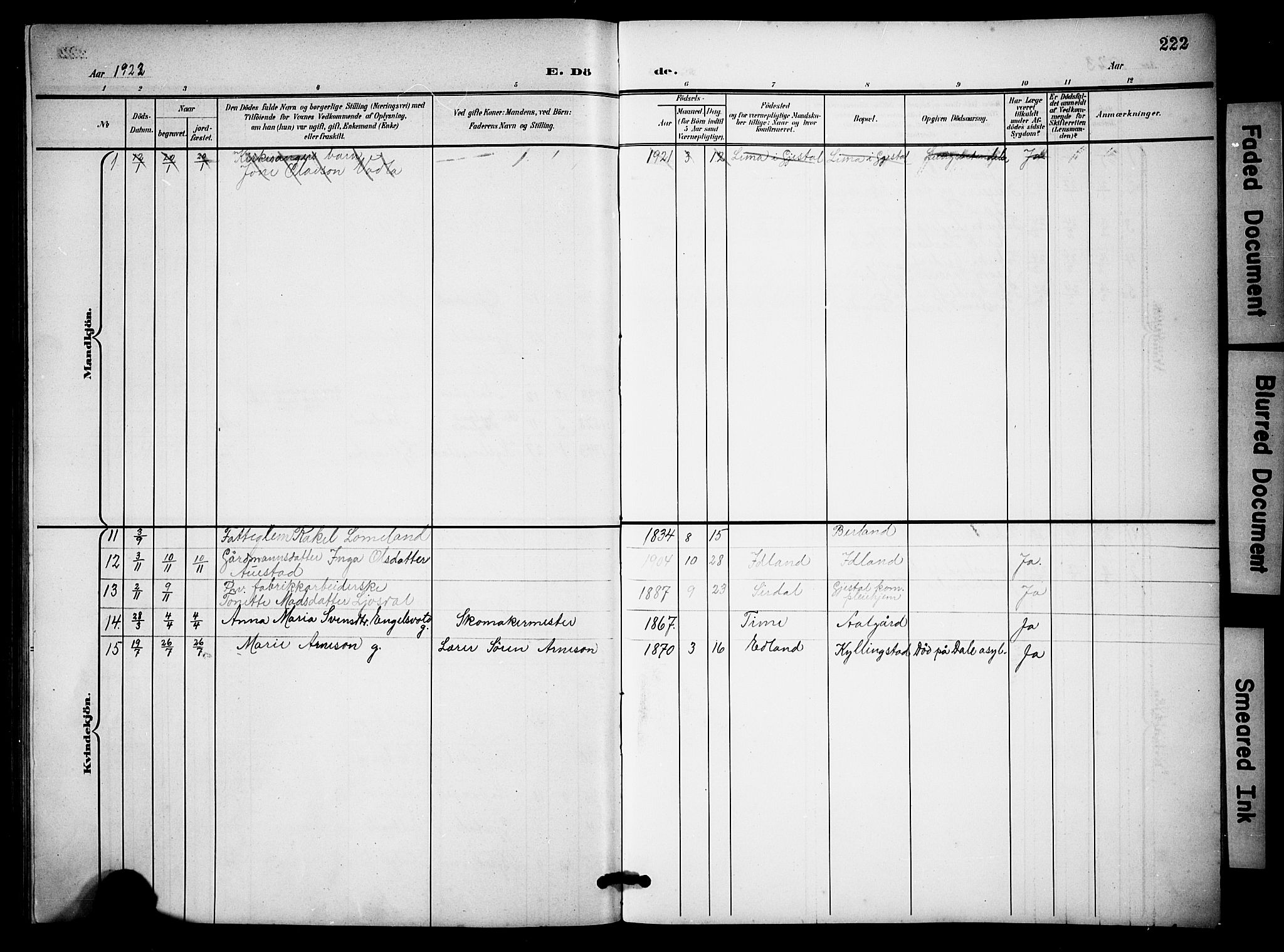 Lye sokneprestkontor, AV/SAST-A-101794/001/30BB/L0009: Parish register (copy) no. B 9, 1902-1923, p. 222