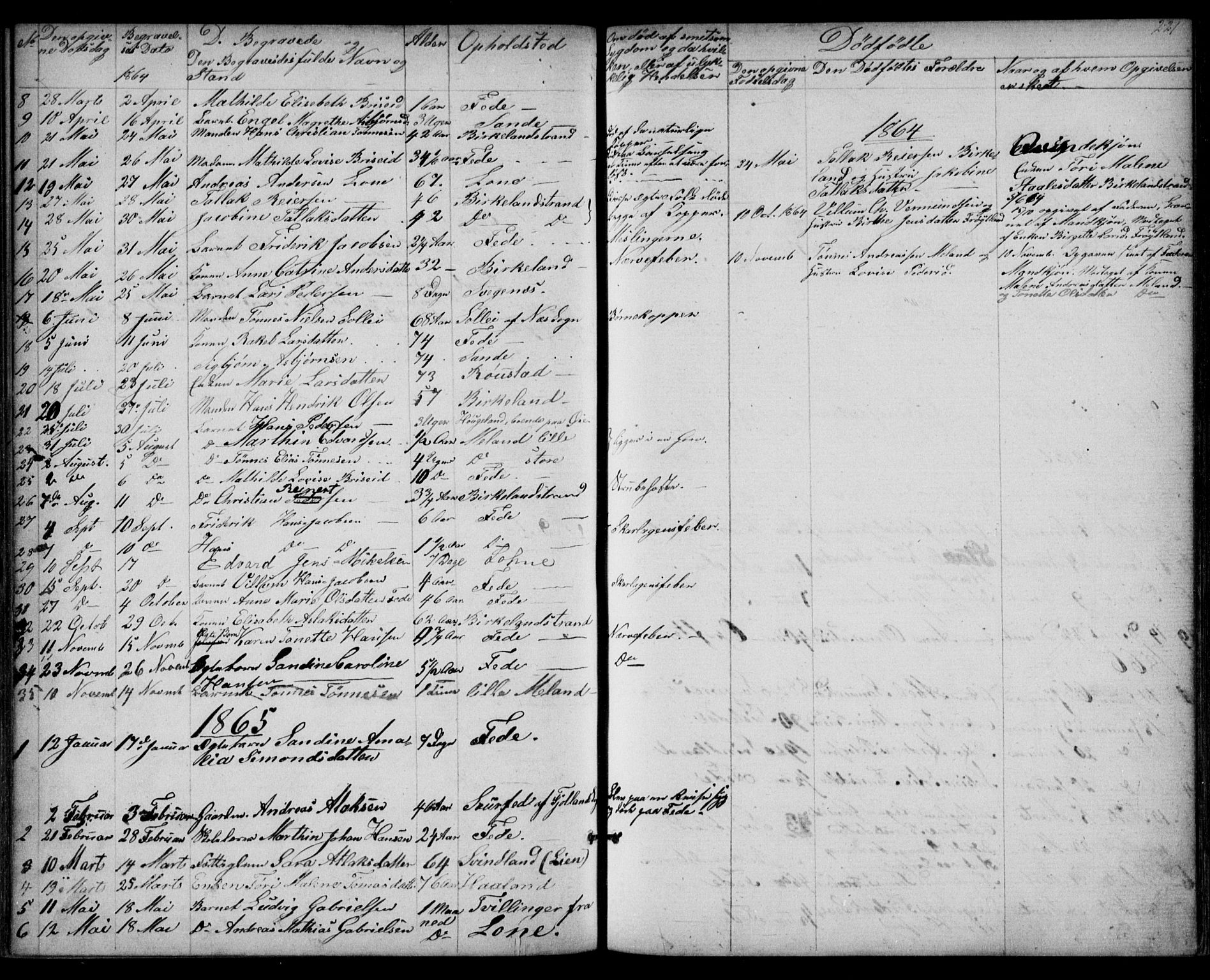 Kvinesdal sokneprestkontor, SAK/1111-0026/F/Fb/Fba/L0003: Parish register (copy) no. B 3, 1858-1893, p. 221