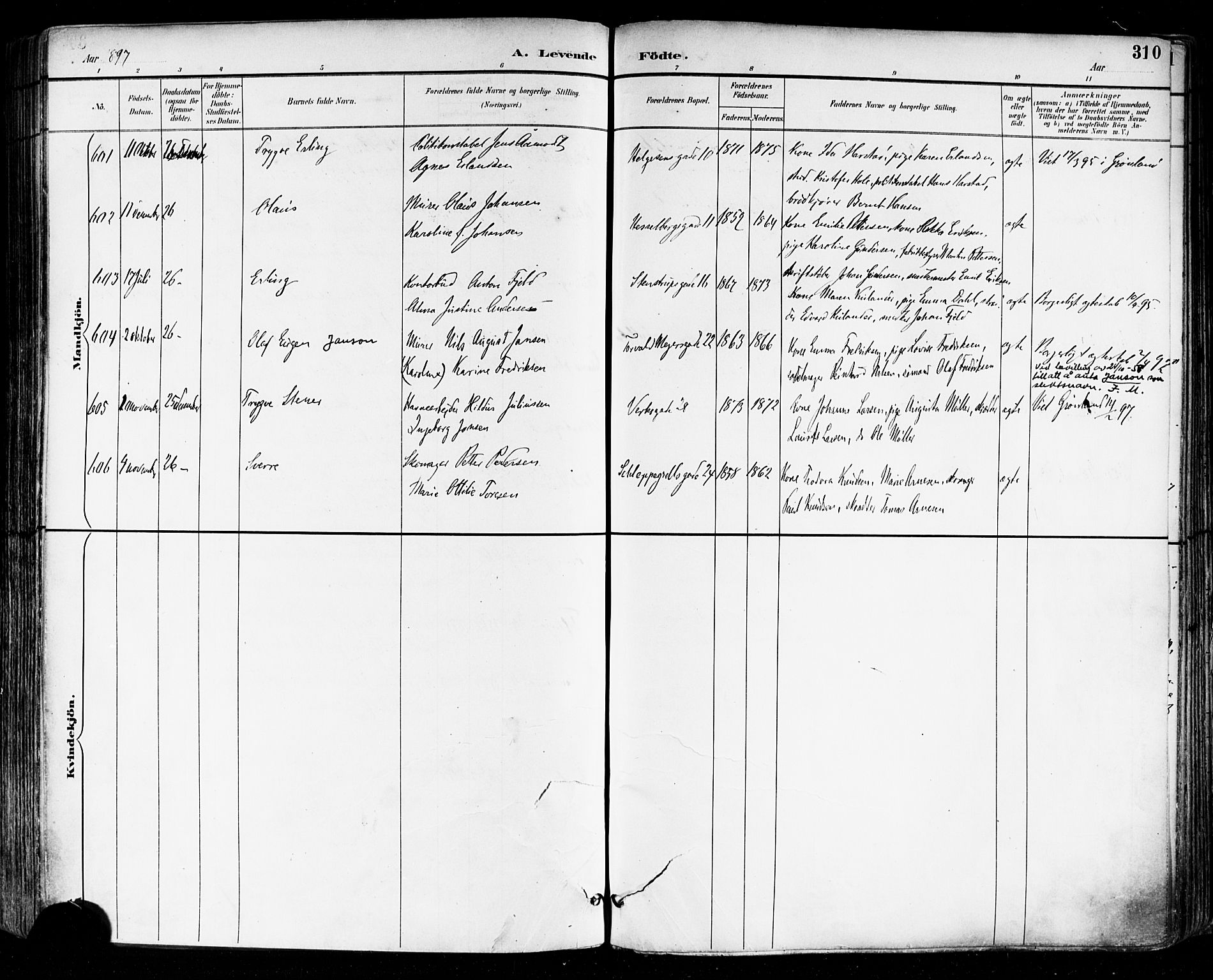 Paulus prestekontor Kirkebøker, AV/SAO-A-10871/F/Fa/L0014: Parish register (official) no. 14, 1894-1902, p. 310