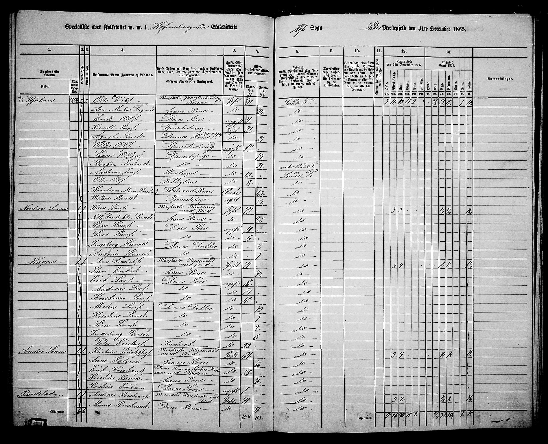 RA, 1865 census for Land, 1865, p. 411