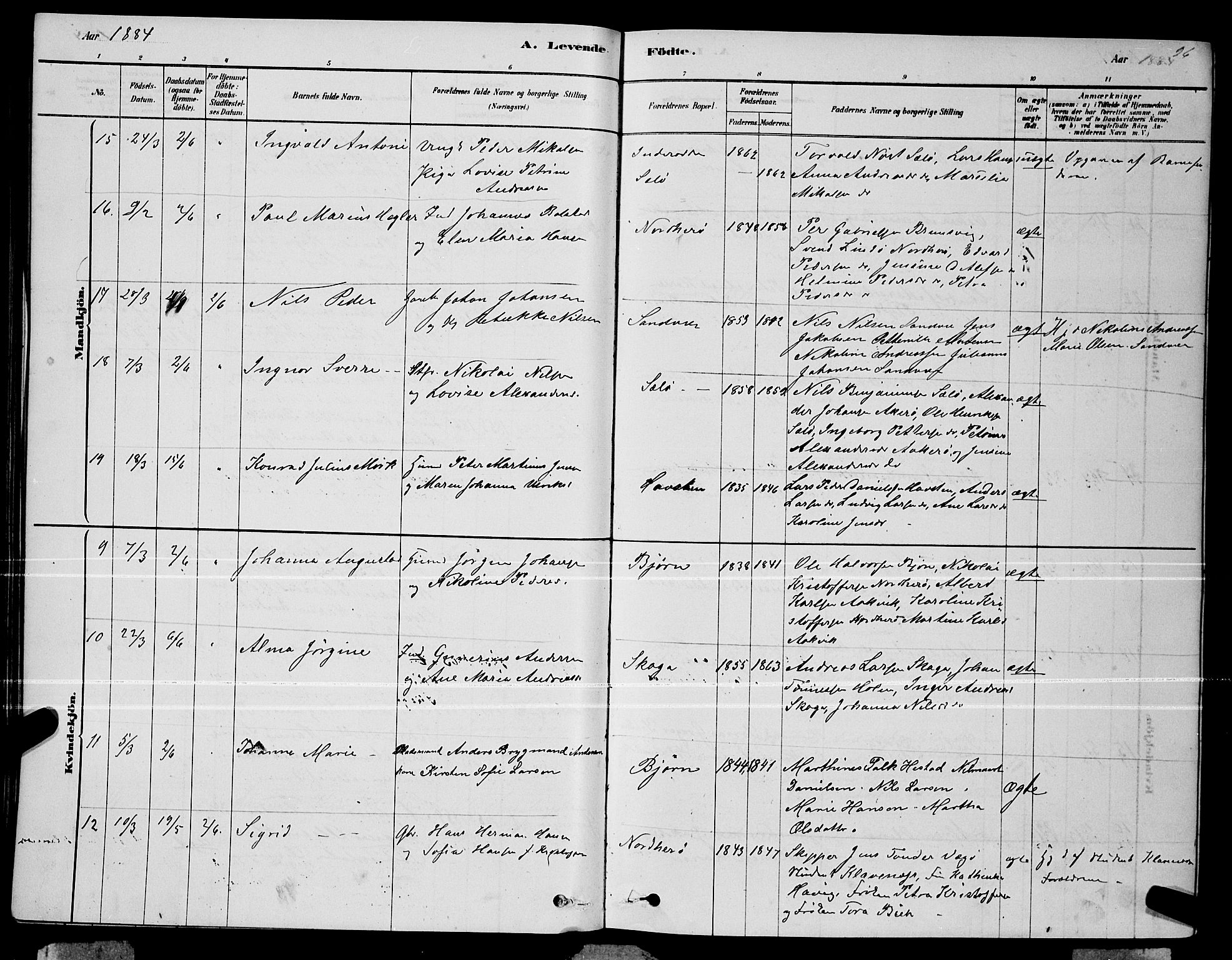 Ministerialprotokoller, klokkerbøker og fødselsregistre - Nordland, AV/SAT-A-1459/834/L0513: Parish register (copy) no. 834C04, 1877-1892, p. 96