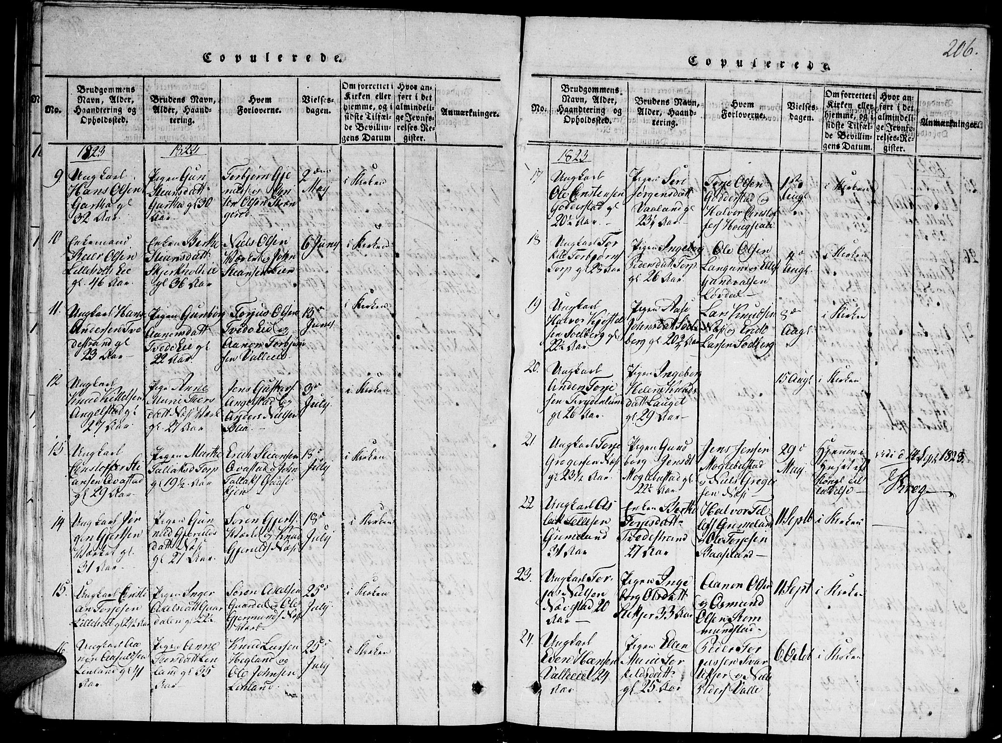 Holt sokneprestkontor, AV/SAK-1111-0021/F/Fb/L0006: Parish register (copy) no. B 6, 1813-1823, p. 206