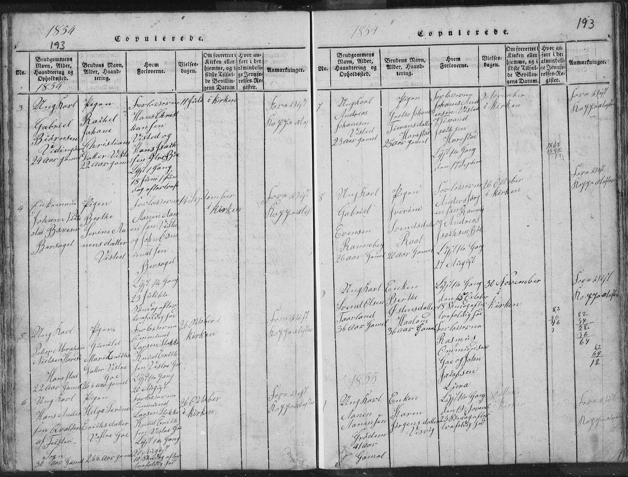 Hetland sokneprestkontor, AV/SAST-A-101826/30/30BA/L0001: Parish register (official) no. A 1, 1816-1856, p. 193