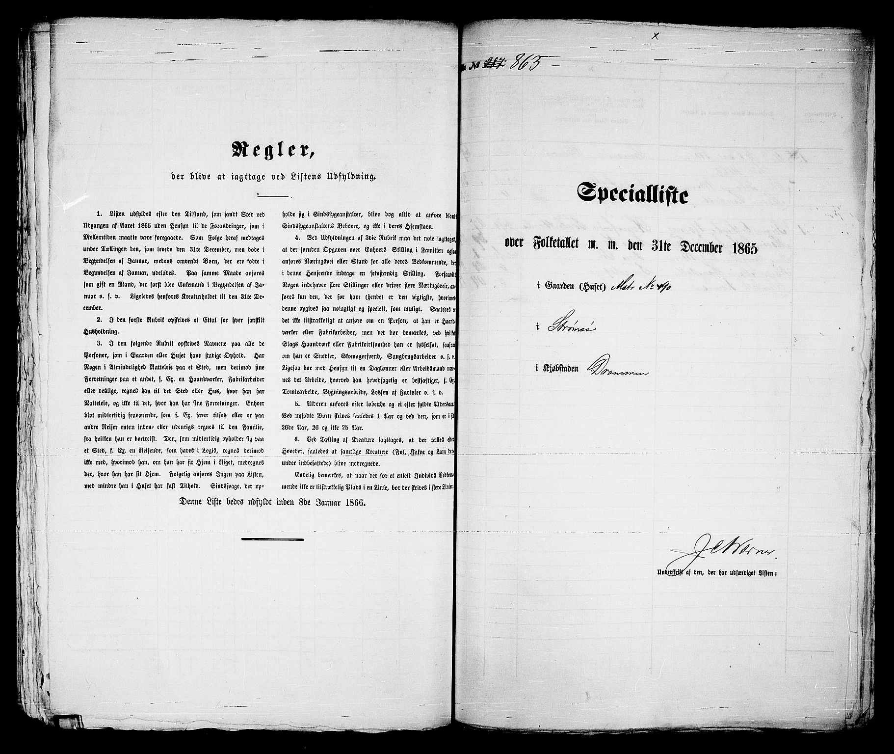 RA, 1865 census for Strømsø in Drammen, 1865, p. 541