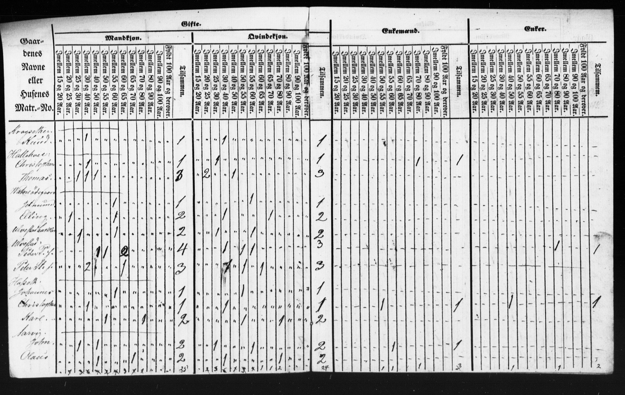 SAT, Census 1855 for Borgund, 1855, p. 5