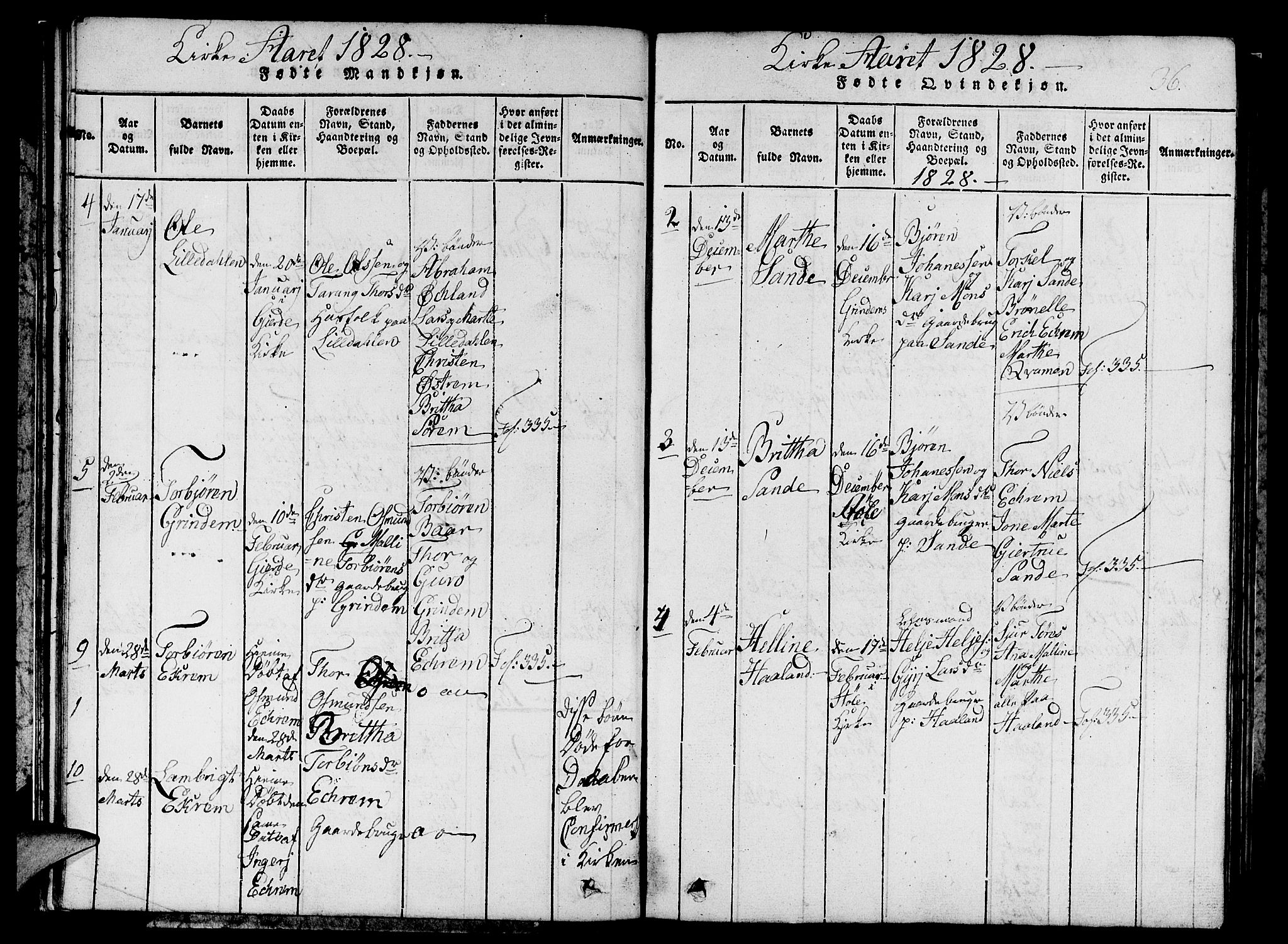 Etne sokneprestembete, AV/SAB-A-75001/H/Hab: Parish register (copy) no. C 1, 1816-1841, p. 36