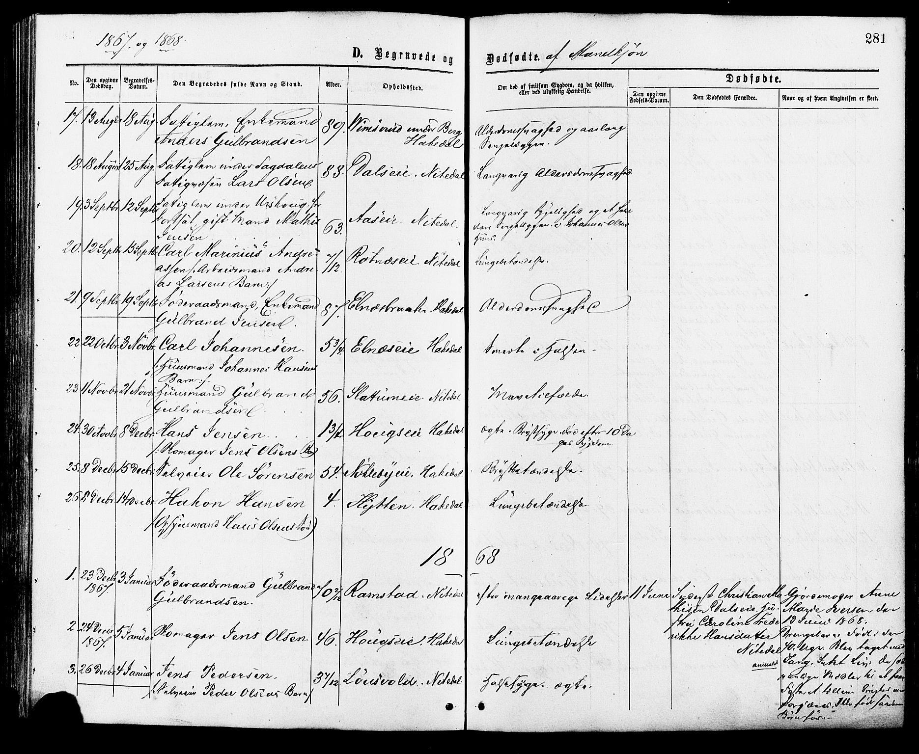 Nittedal prestekontor Kirkebøker, AV/SAO-A-10365a/F/Fa/L0006: Parish register (official) no. I 6, 1863-1878, p. 281