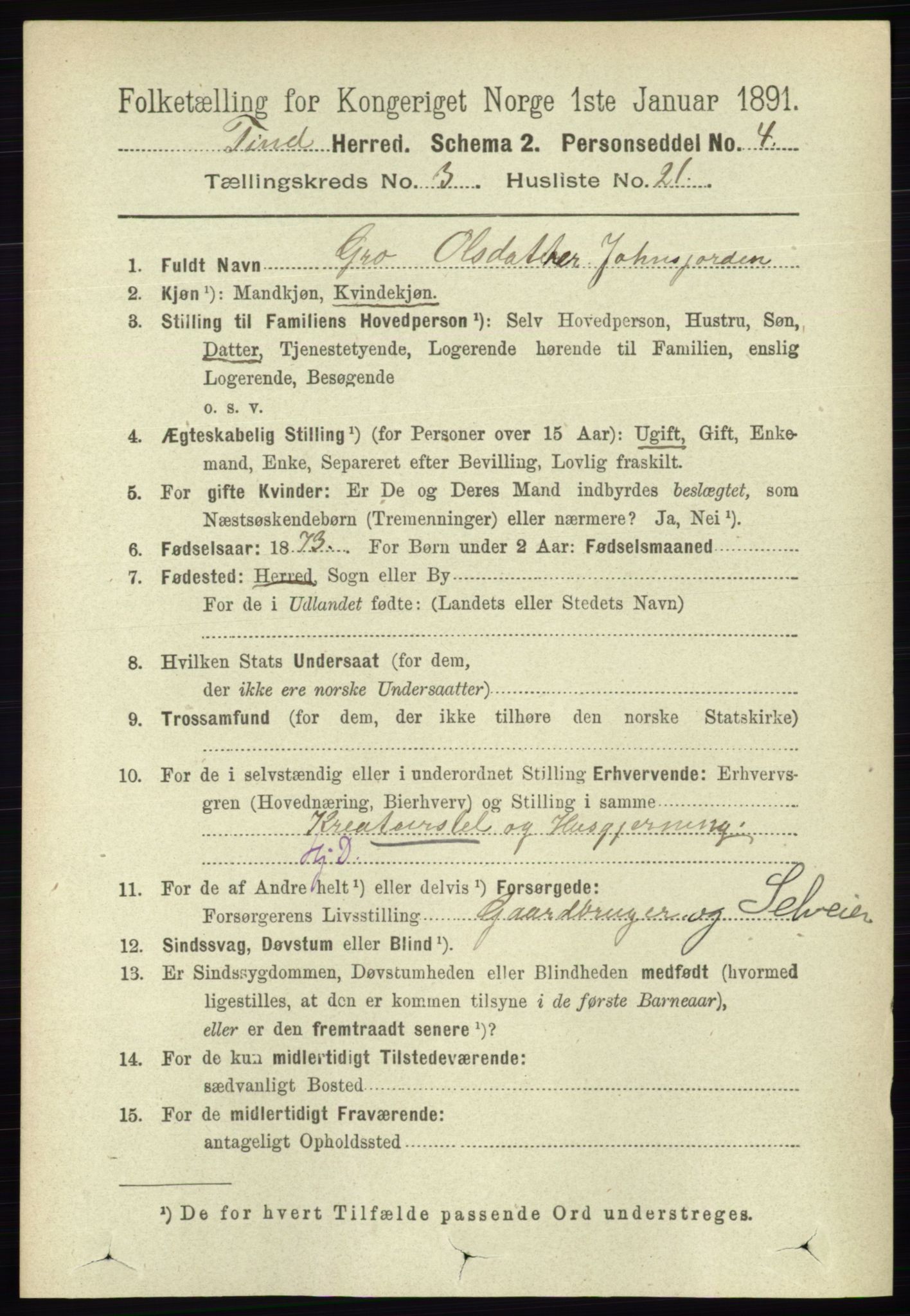 RA, 1891 census for 0826 Tinn, 1891, p. 612