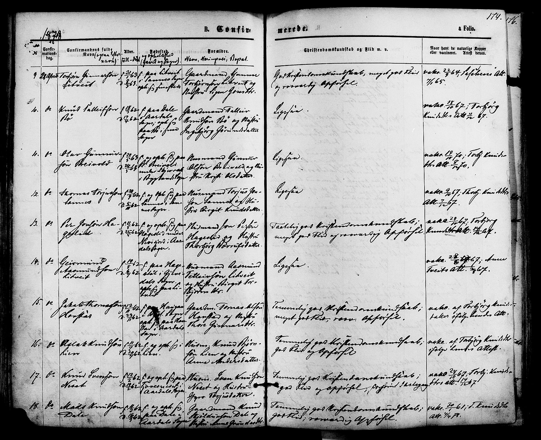 Bygland sokneprestkontor, AV/SAK-1111-0006/F/Fa/Fab/L0006: Parish register (official) no. A 6, 1873-1884, p. 174