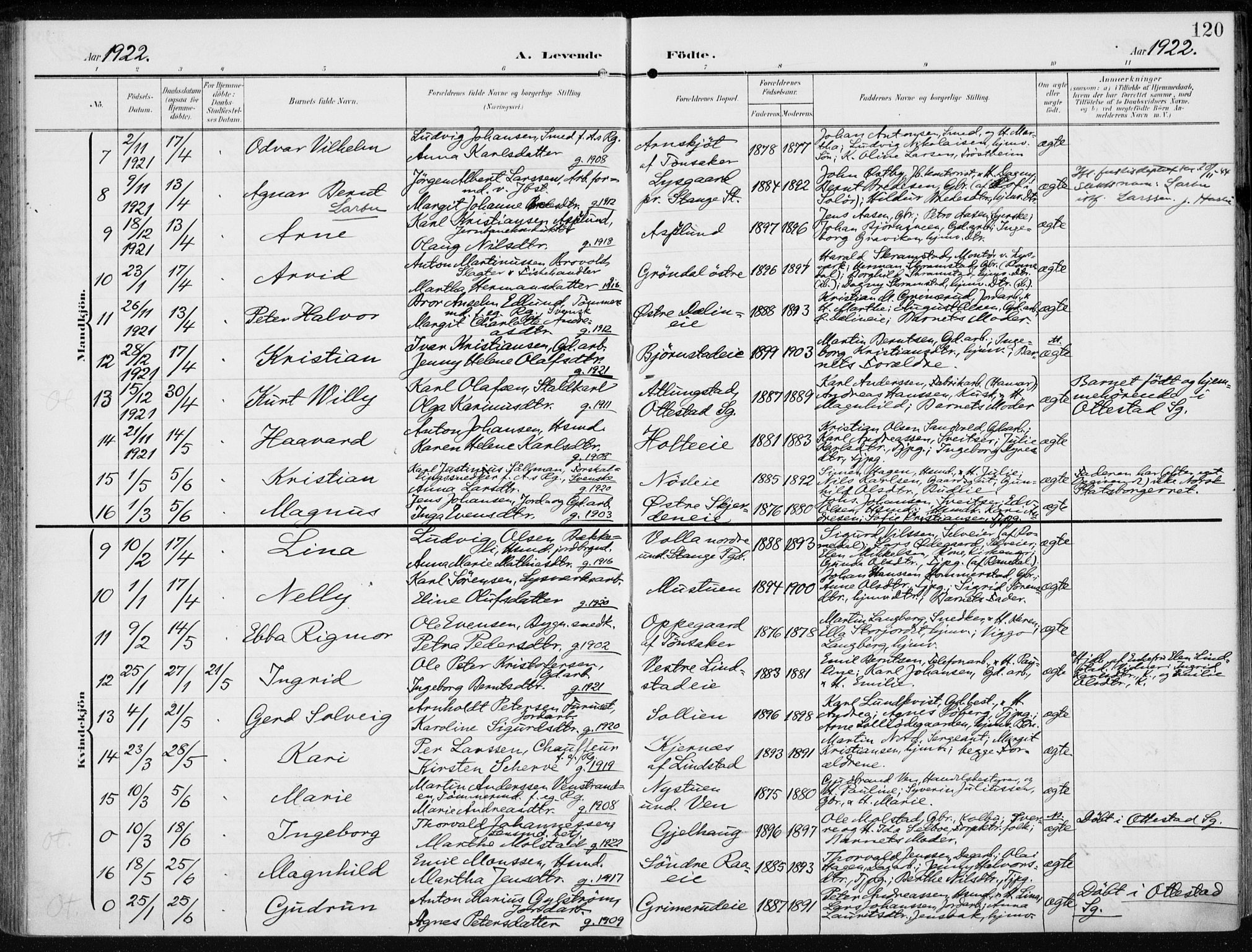 Stange prestekontor, AV/SAH-PREST-002/K/L0024: Parish register (official) no. 24, 1906-1922, p. 120