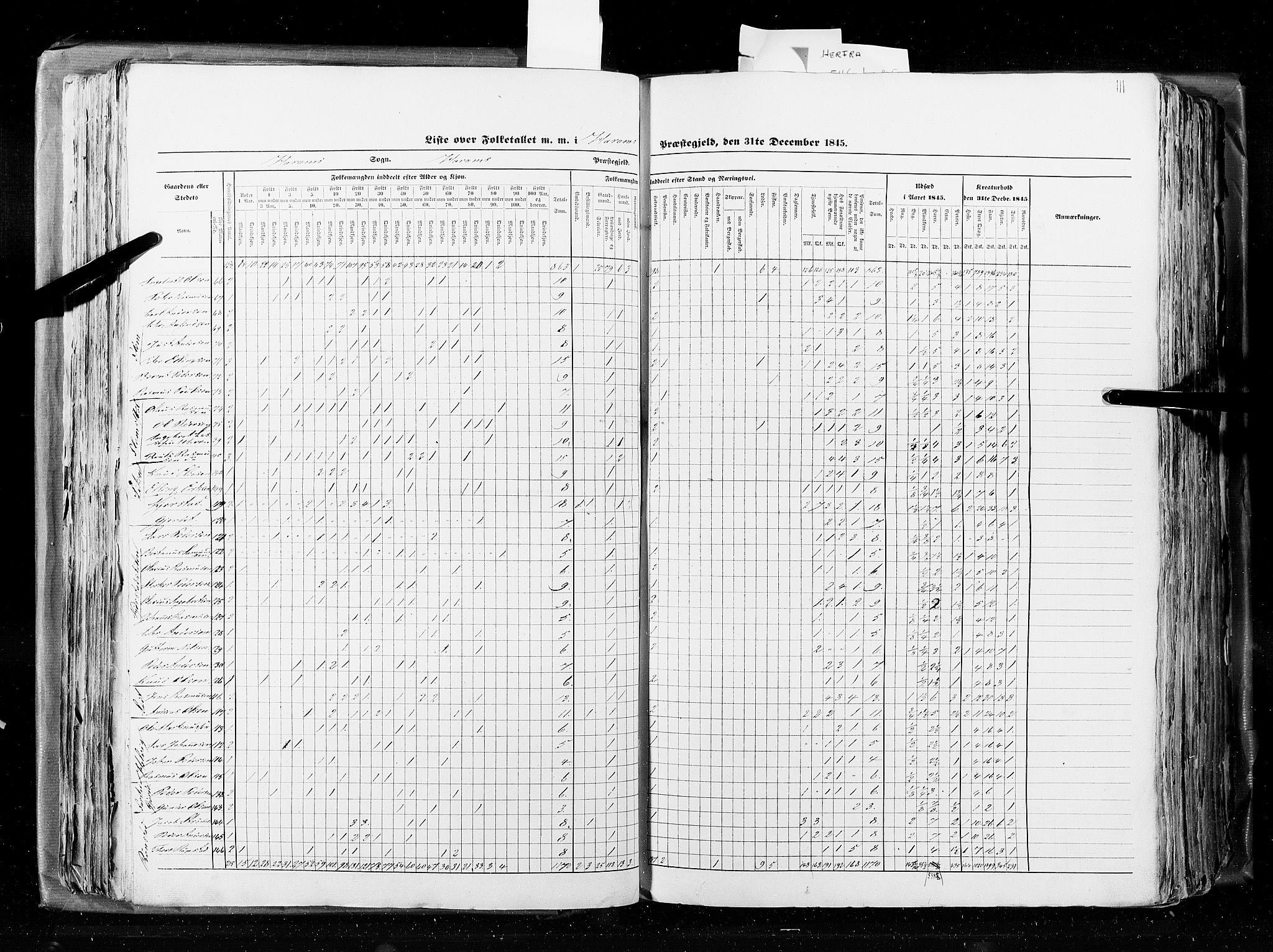 RA, Census 1845, vol. 8: Romsdal amt og Søndre Trondhjems amt, 1845, p. 111