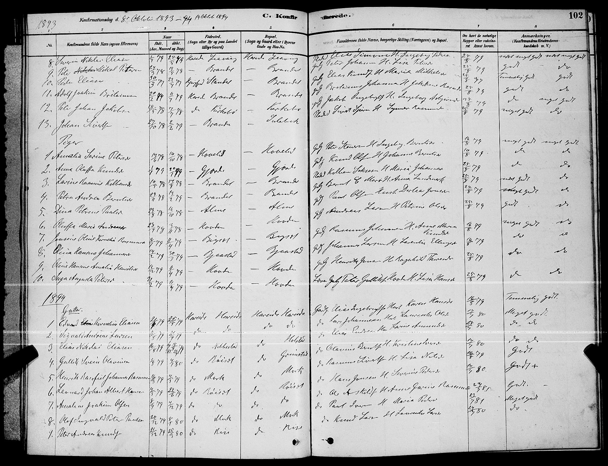 Ministerialprotokoller, klokkerbøker og fødselsregistre - Møre og Romsdal, AV/SAT-A-1454/510/L0125: Parish register (copy) no. 510C02, 1878-1900, p. 102