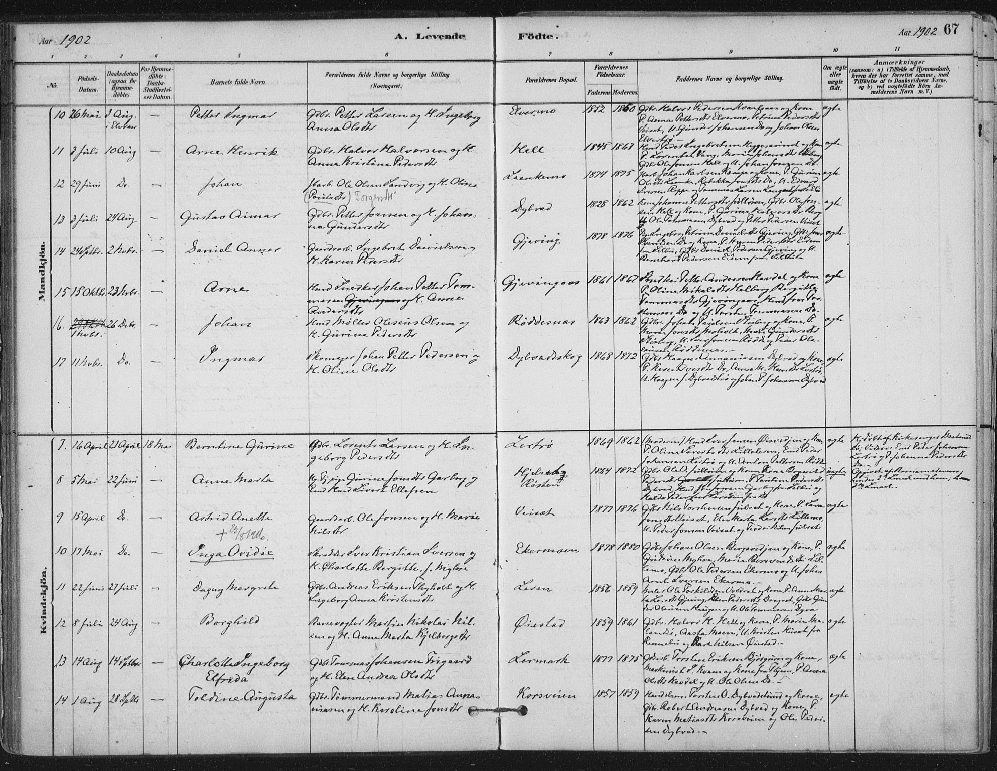 Ministerialprotokoller, klokkerbøker og fødselsregistre - Nord-Trøndelag, SAT/A-1458/710/L0095: Parish register (official) no. 710A01, 1880-1914, p. 67