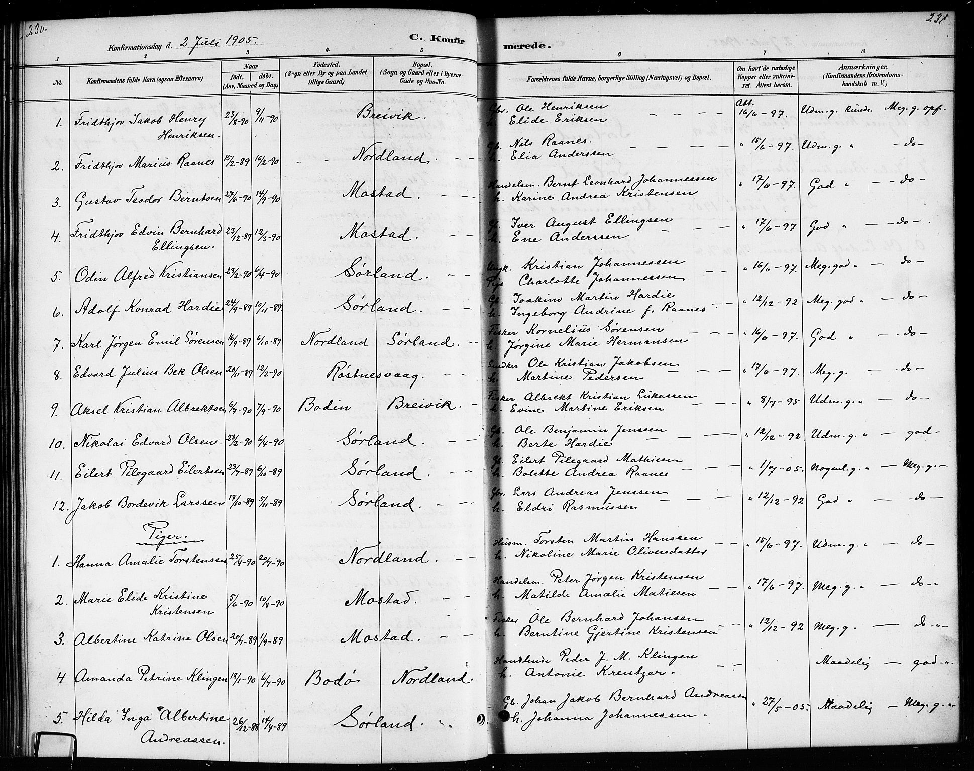 Ministerialprotokoller, klokkerbøker og fødselsregistre - Nordland, AV/SAT-A-1459/807/L0123: Parish register (copy) no. 807C01, 1884-1910, p. 230-231