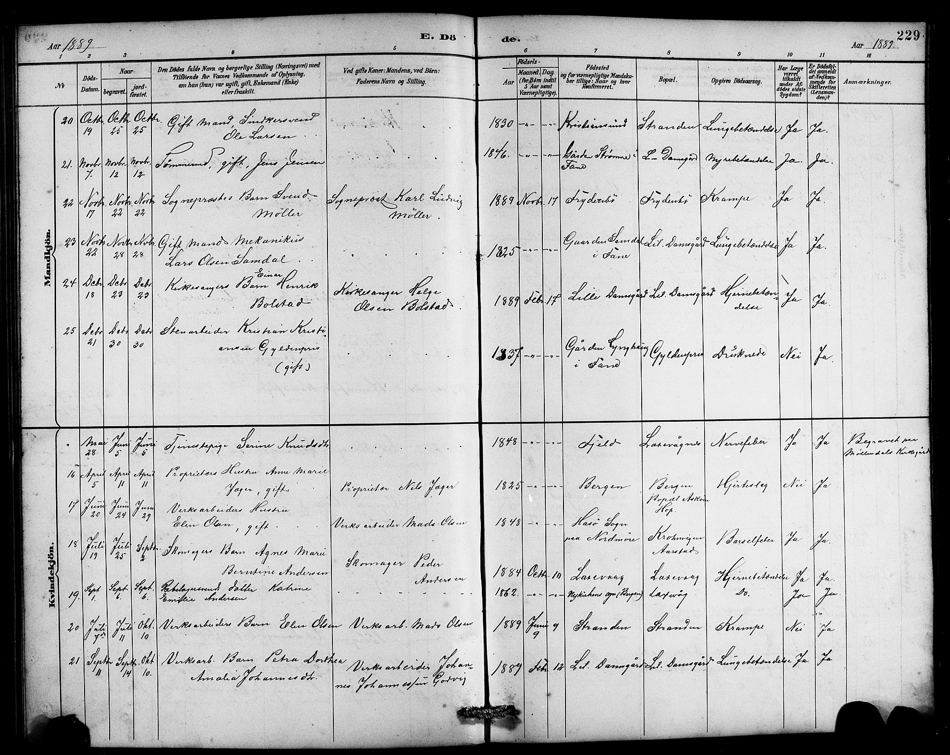 Laksevåg Sokneprestembete, AV/SAB-A-76501/H/Ha/Hab/Haba/L0003: Parish register (copy) no. A 3, 1887-1899, p. 229