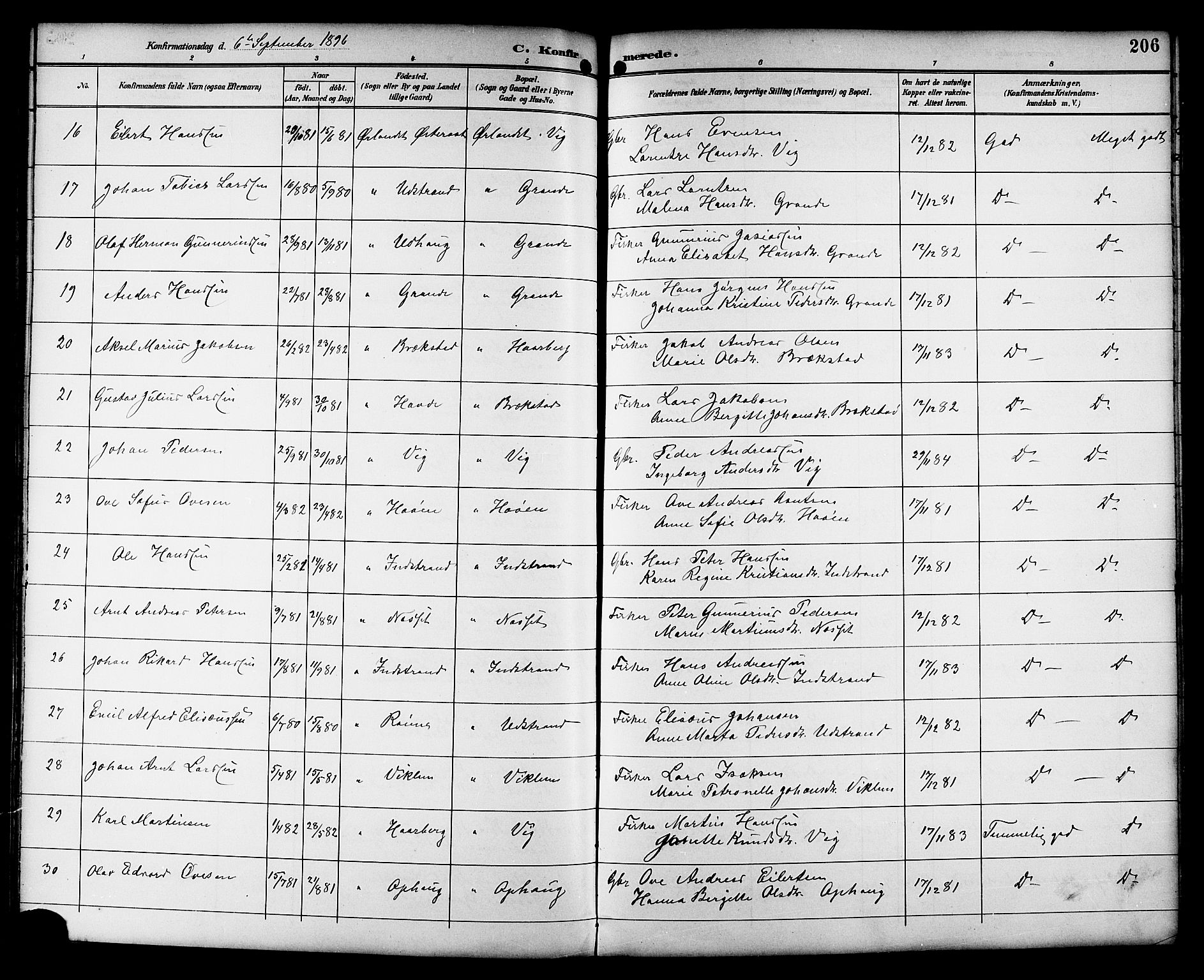 Ministerialprotokoller, klokkerbøker og fødselsregistre - Sør-Trøndelag, SAT/A-1456/659/L0746: Parish register (copy) no. 659C03, 1893-1912, p. 206