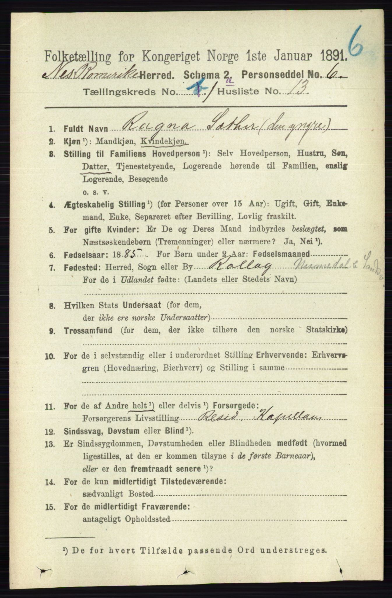 RA, 1891 census for 0236 Nes, 1891, p. 191