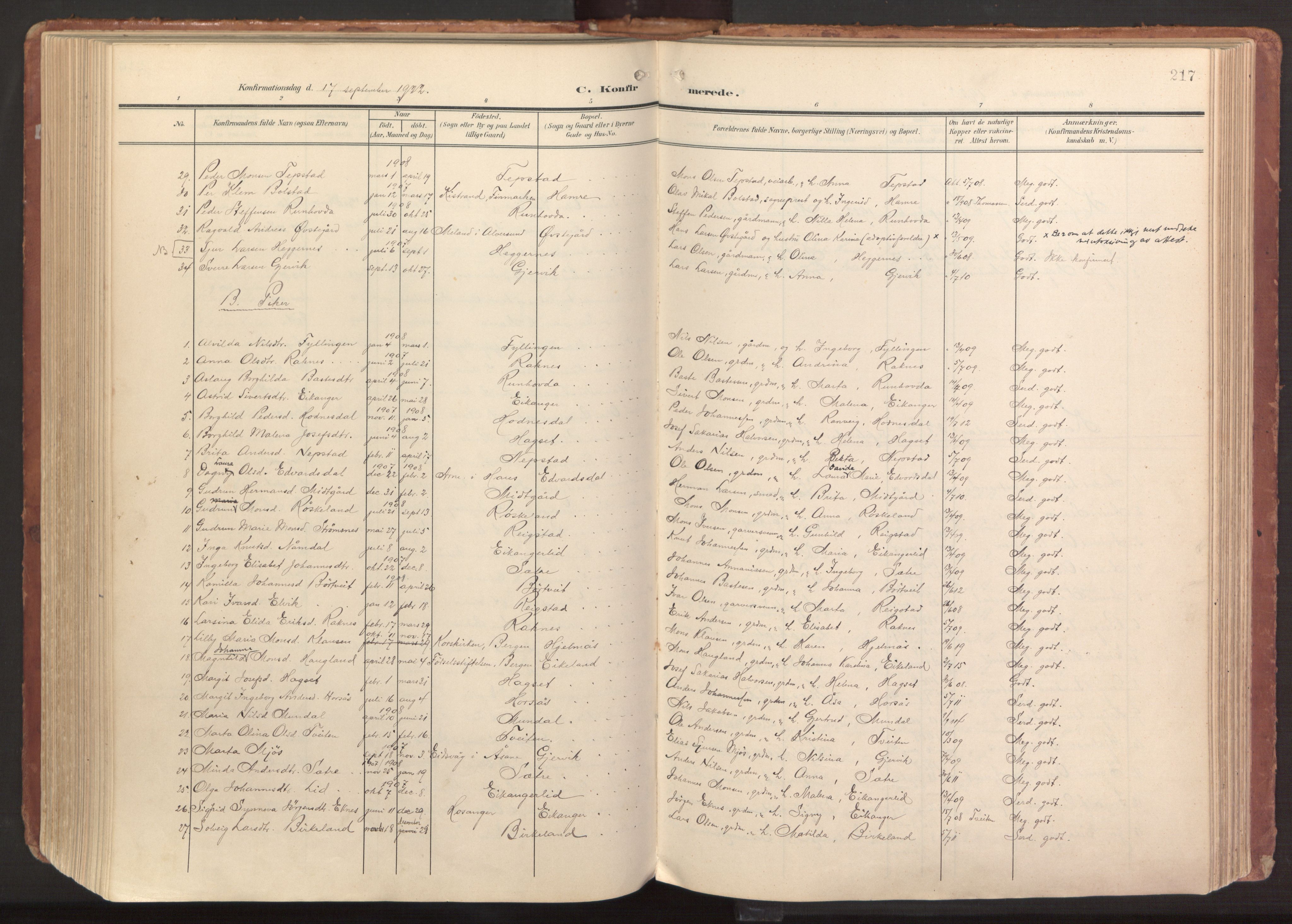 Hamre sokneprestembete, AV/SAB-A-75501/H/Ha/Haa/Haab/L0002: Parish register (official) no. B 2, 1905-1924, p. 217