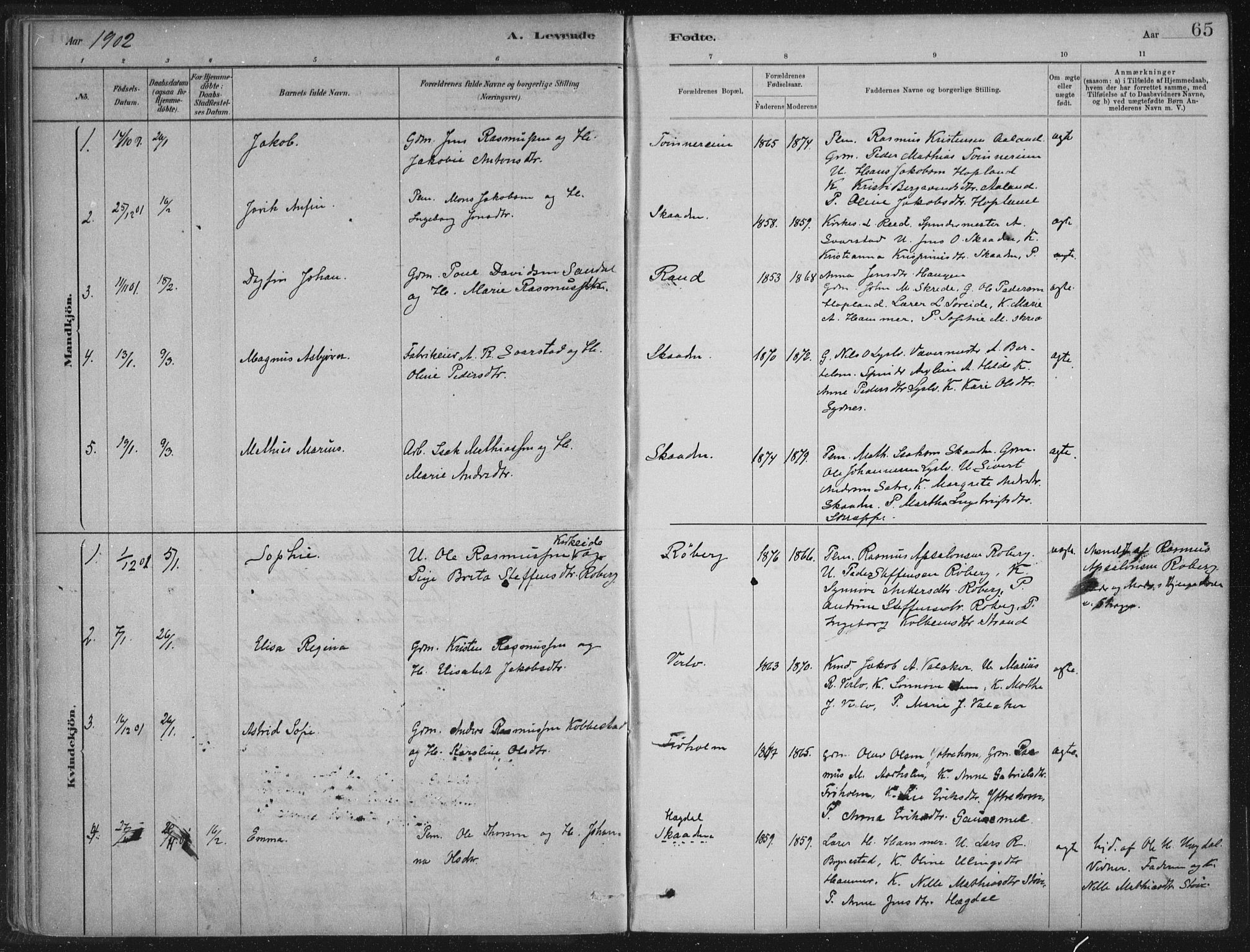 Innvik sokneprestembete, AV/SAB-A-80501: Parish register (official) no. B  1, 1879-1902, p. 65