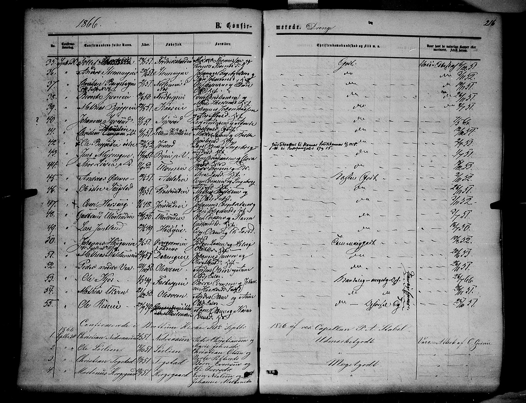 Ringsaker prestekontor, SAH/PREST-014/K/Ka/L0010: Parish register (official) no. 10, 1861-1869, p. 216