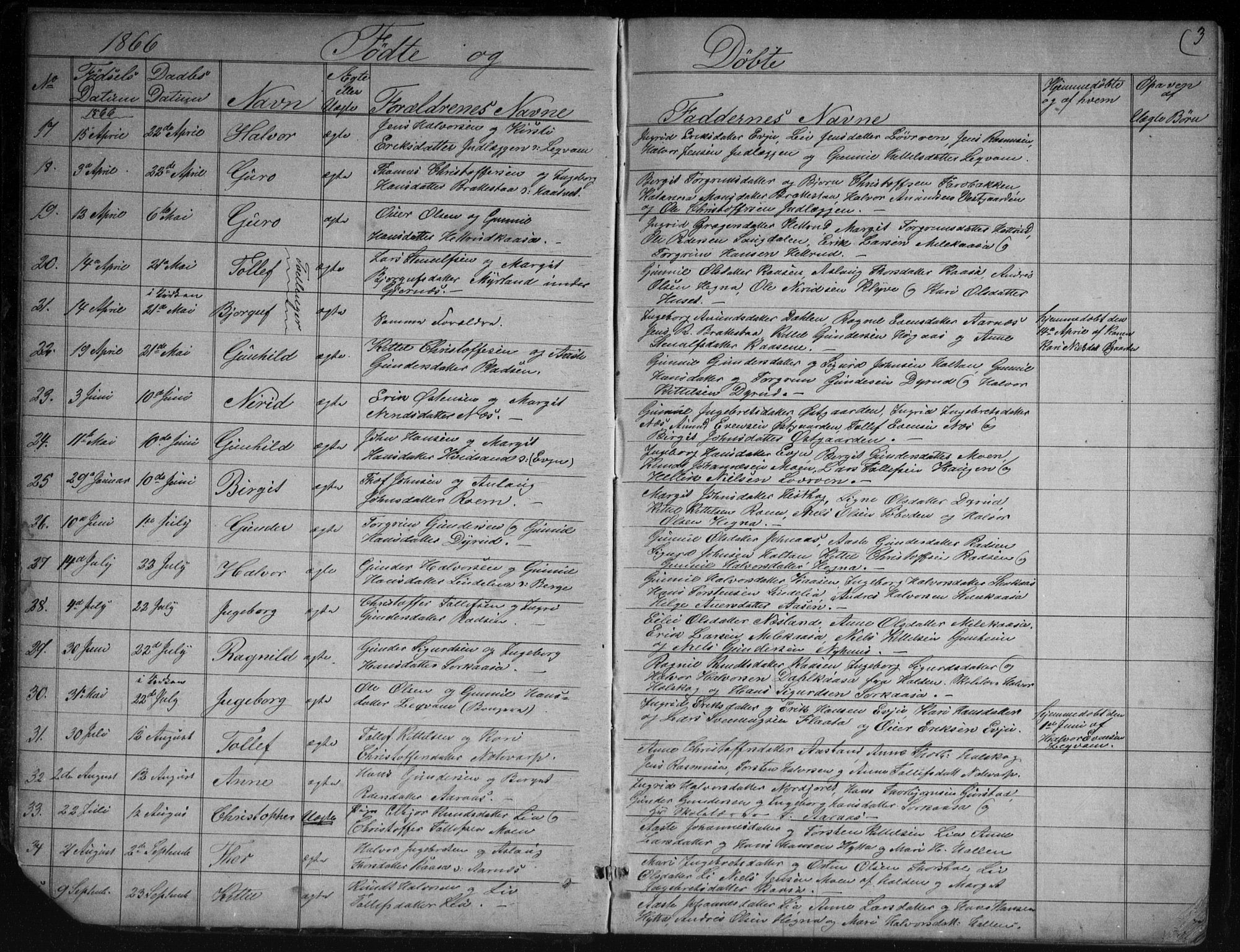 Sauherad kirkebøker, AV/SAKO-A-298/G/Gb/L0002: Parish register (copy) no. II 2, 1866-1897, p. 3