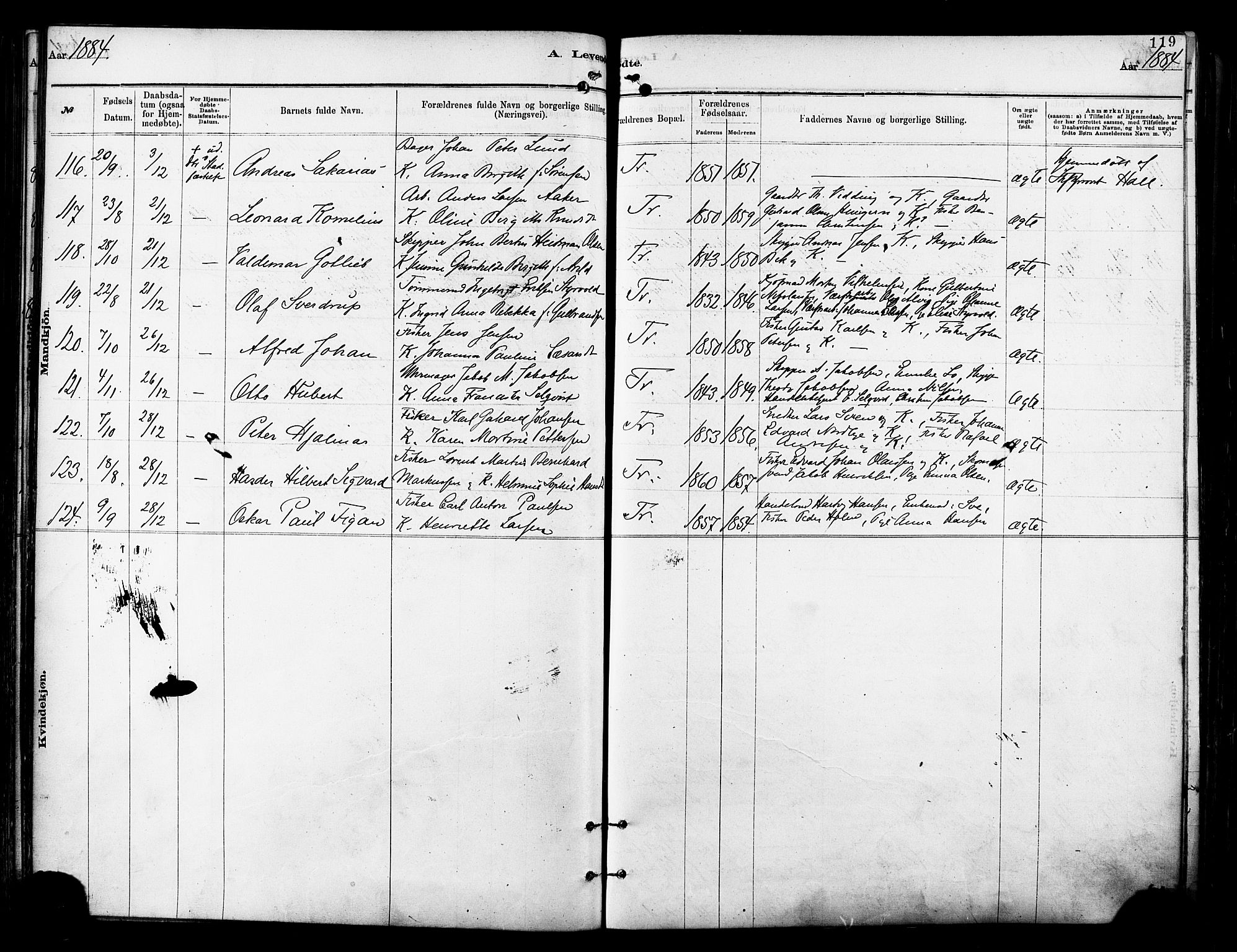 Tromsø sokneprestkontor/stiftsprosti/domprosti, SATØ/S-1343/G/Ga/L0014kirke: Parish register (official) no. 14, 1878-1888, p. 119