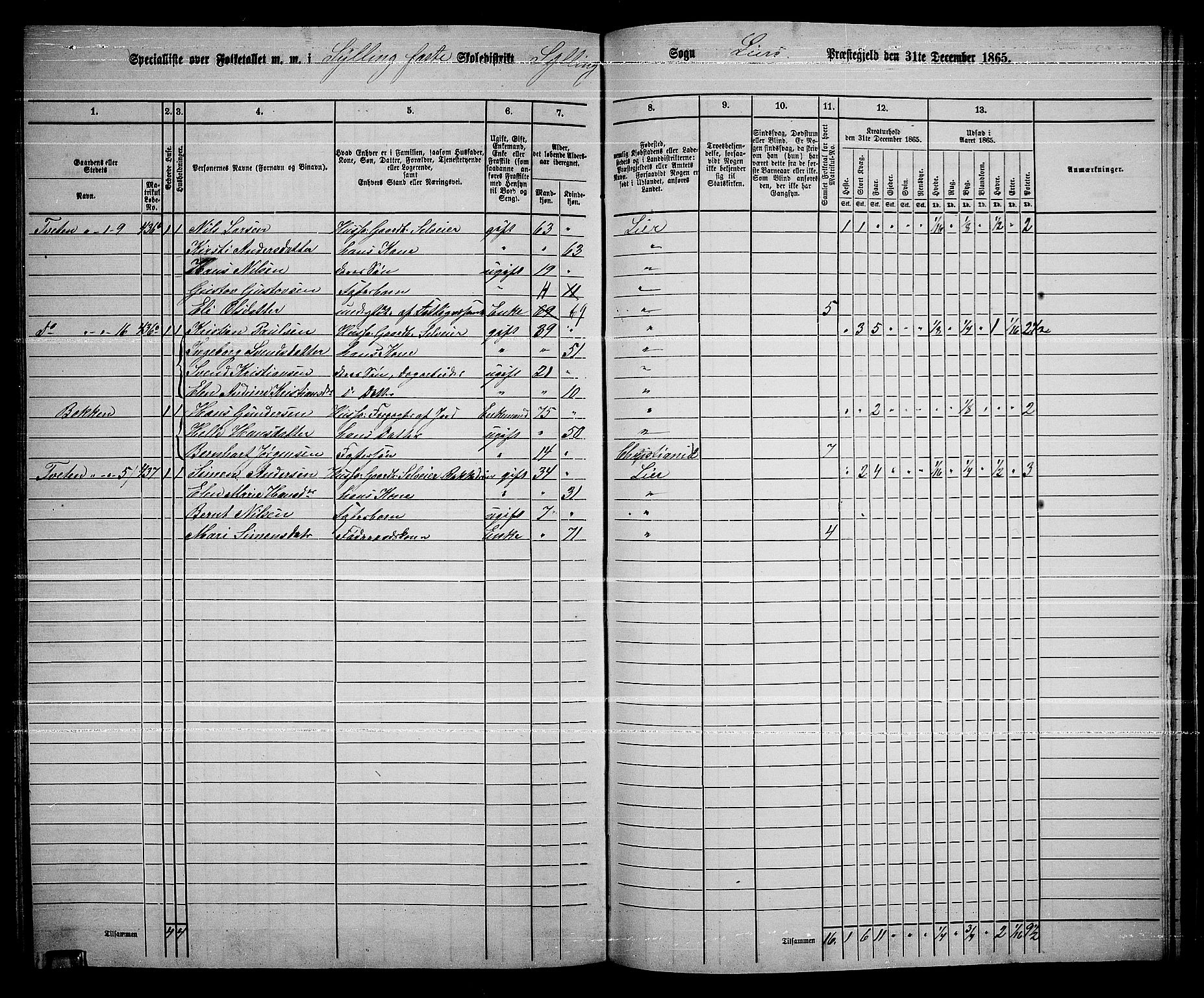 RA, 1865 census for Lier, 1865, p. 229