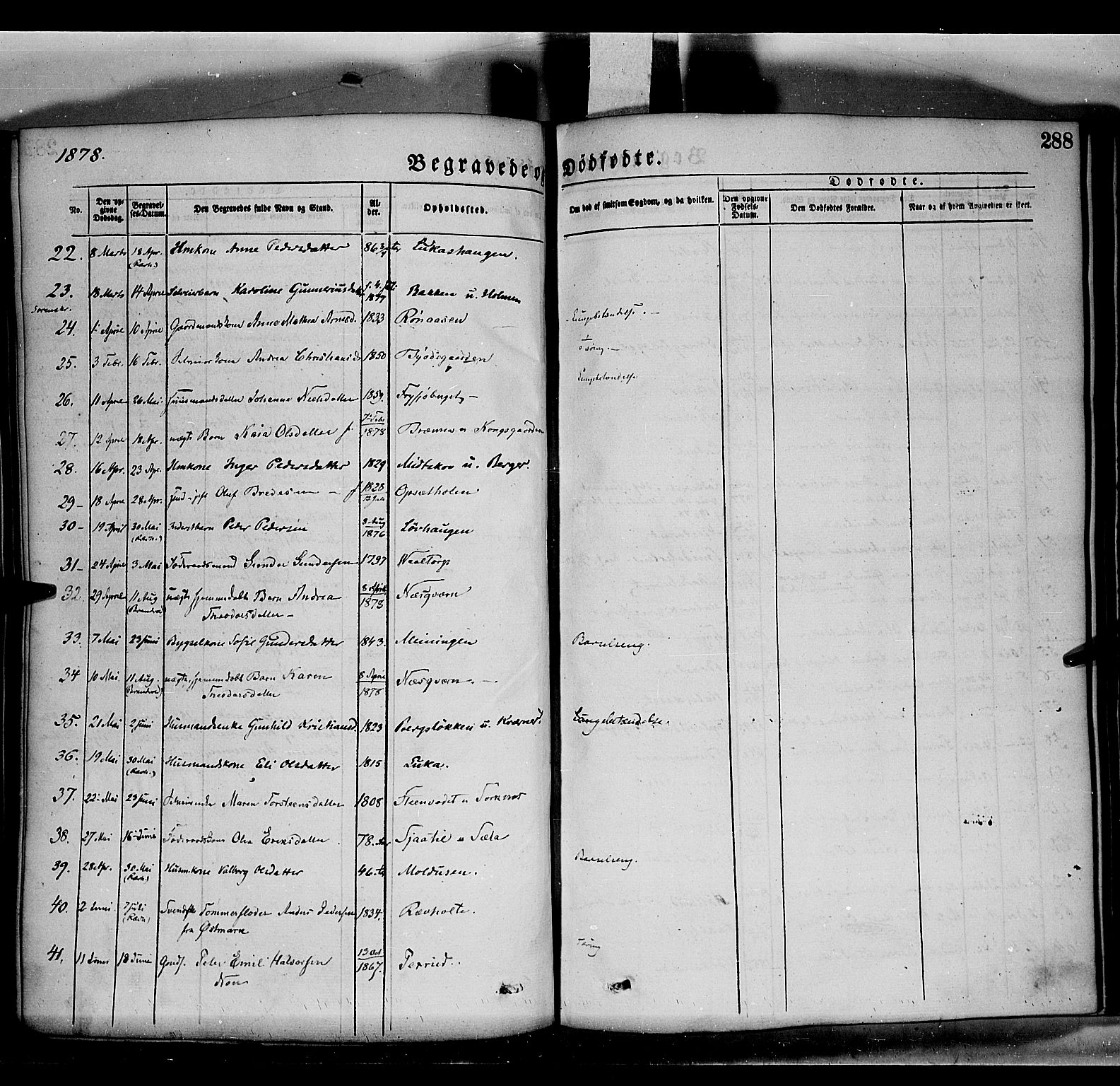 Grue prestekontor, AV/SAH-PREST-036/H/Ha/Haa/L0011: Parish register (official) no. 11, 1873-1880, p. 288